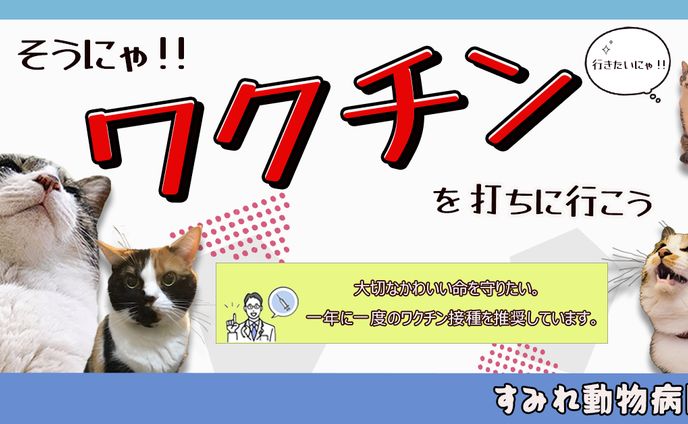 広告バナー、4価hpvワクチン(4vhpv)