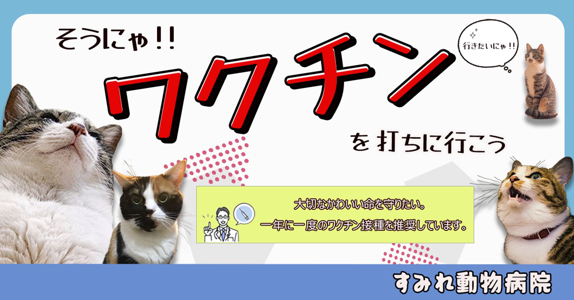 にゃんこワクチンバナー-1