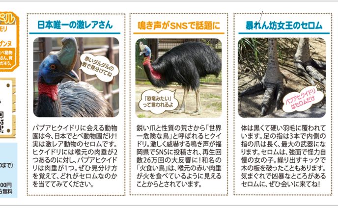求人記事、動物