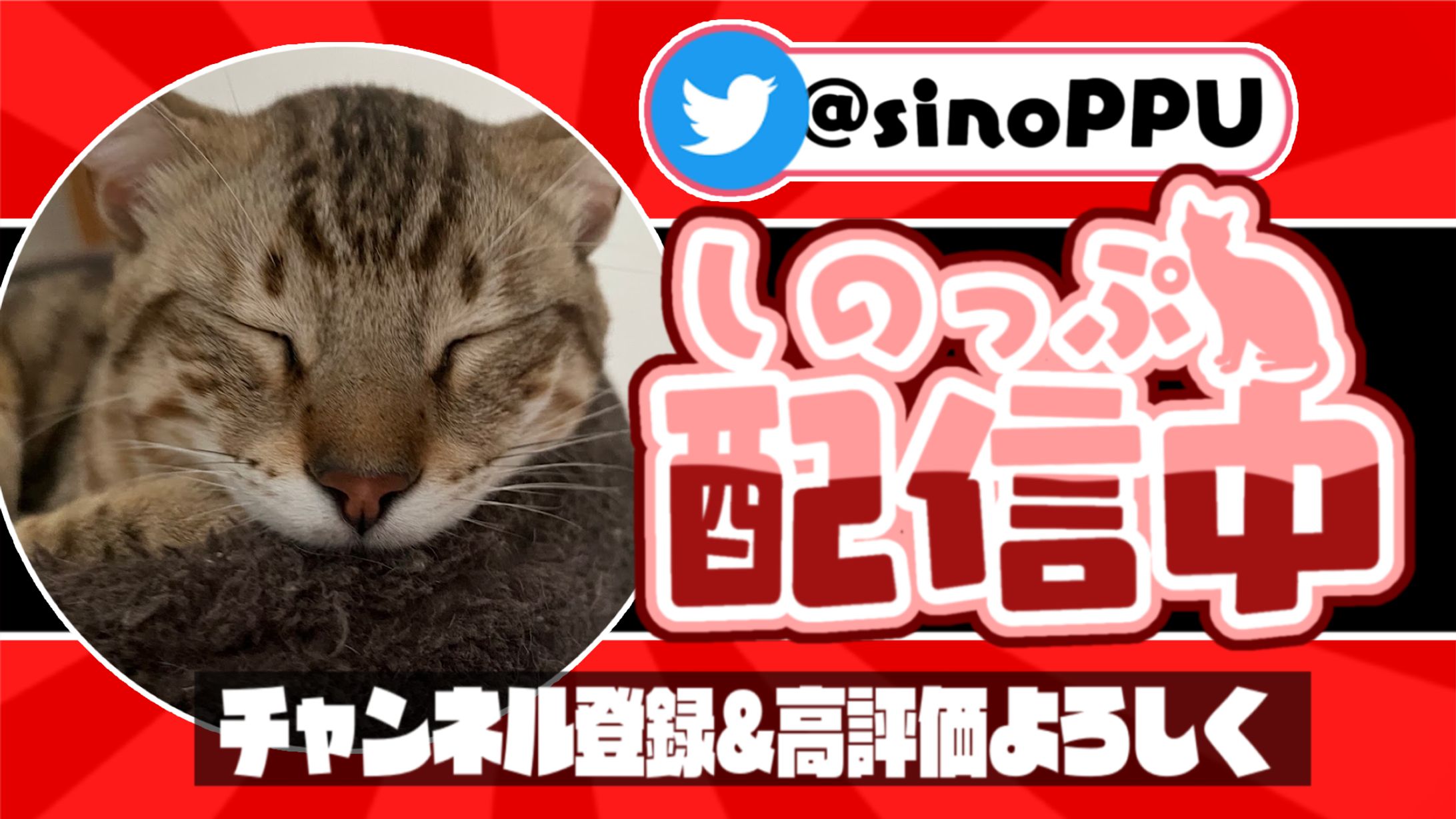 配信サムネ-1