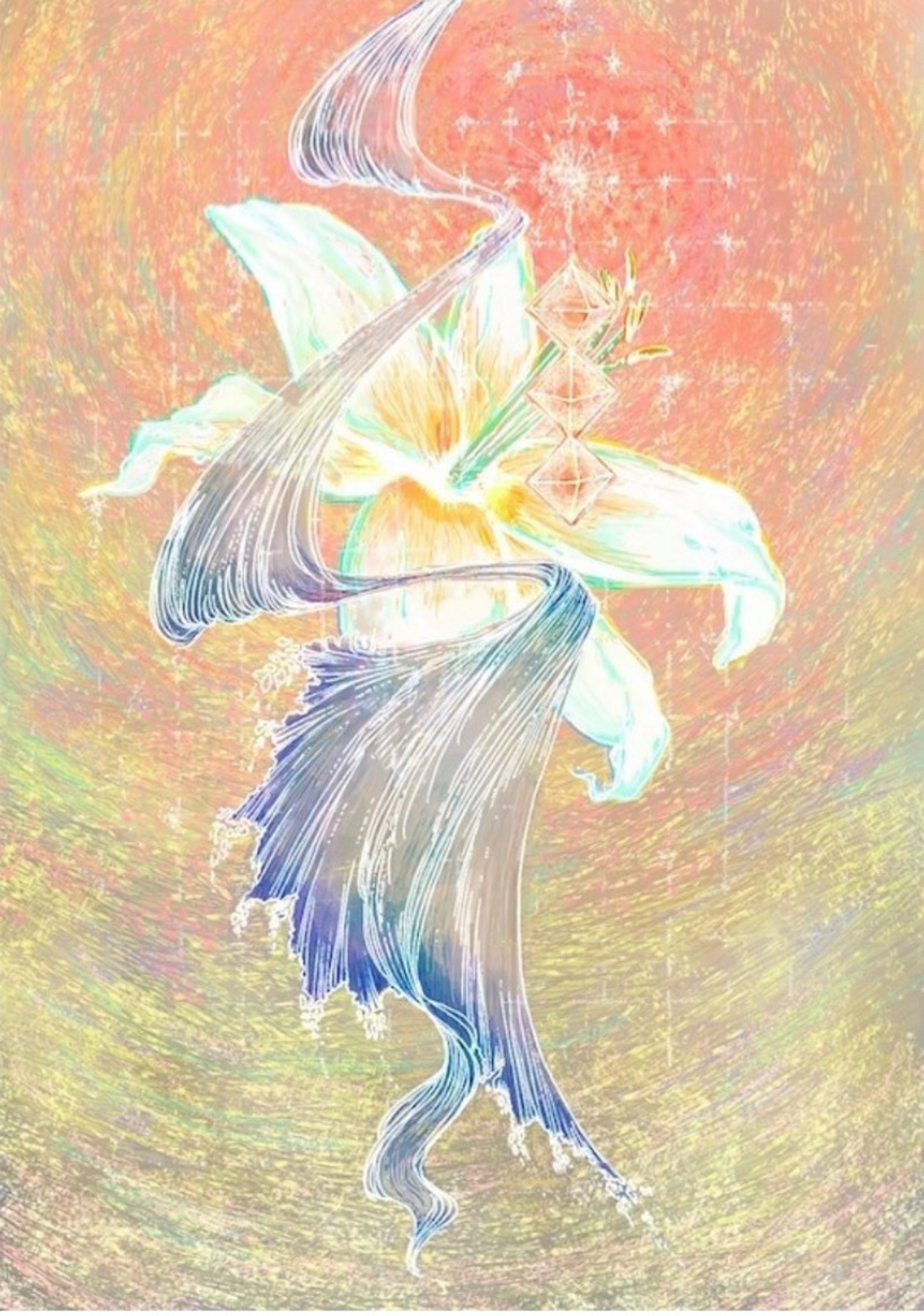 lily-1