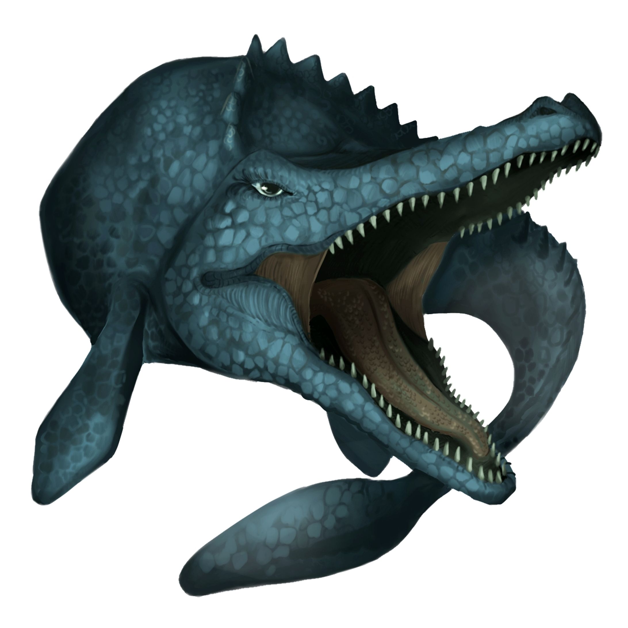 恐竜シリーズ-1