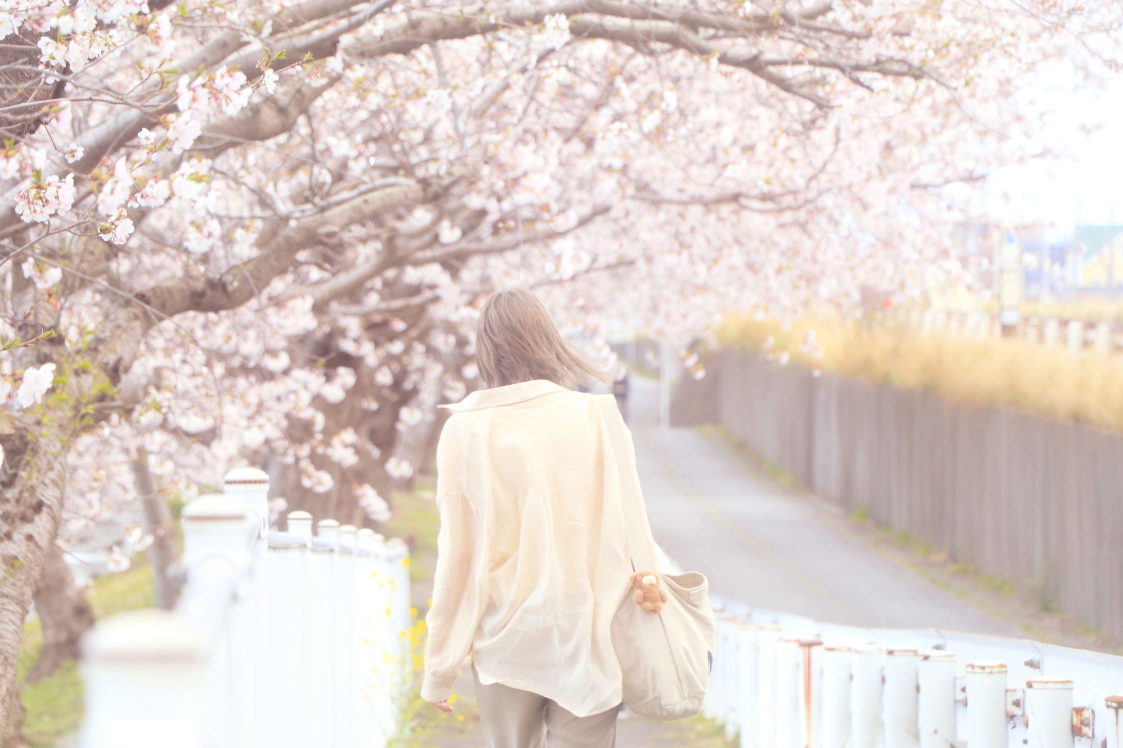 897B4F5B 45ED 47AC A745 725868EB78B2-1