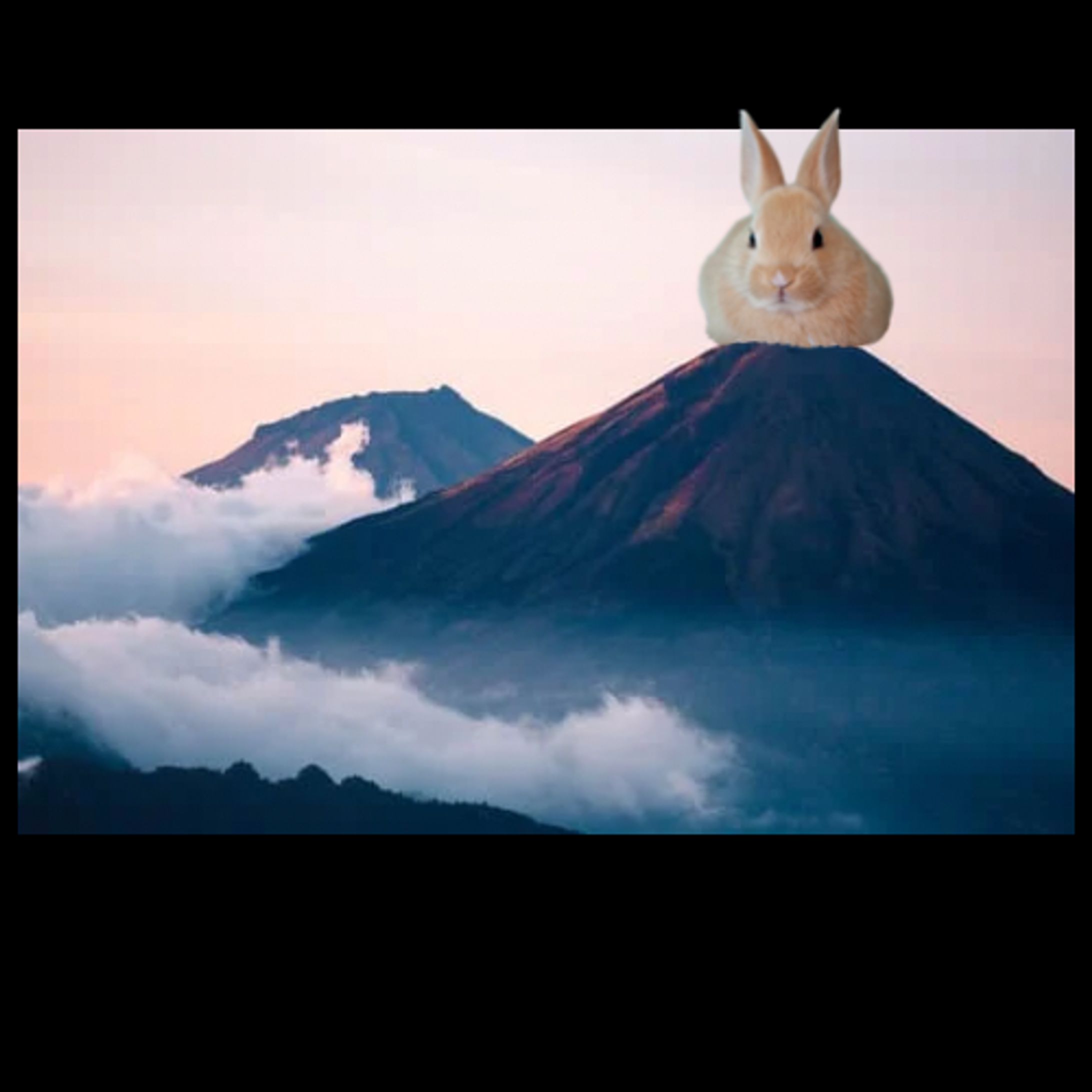 UsAGI on the mountain-1