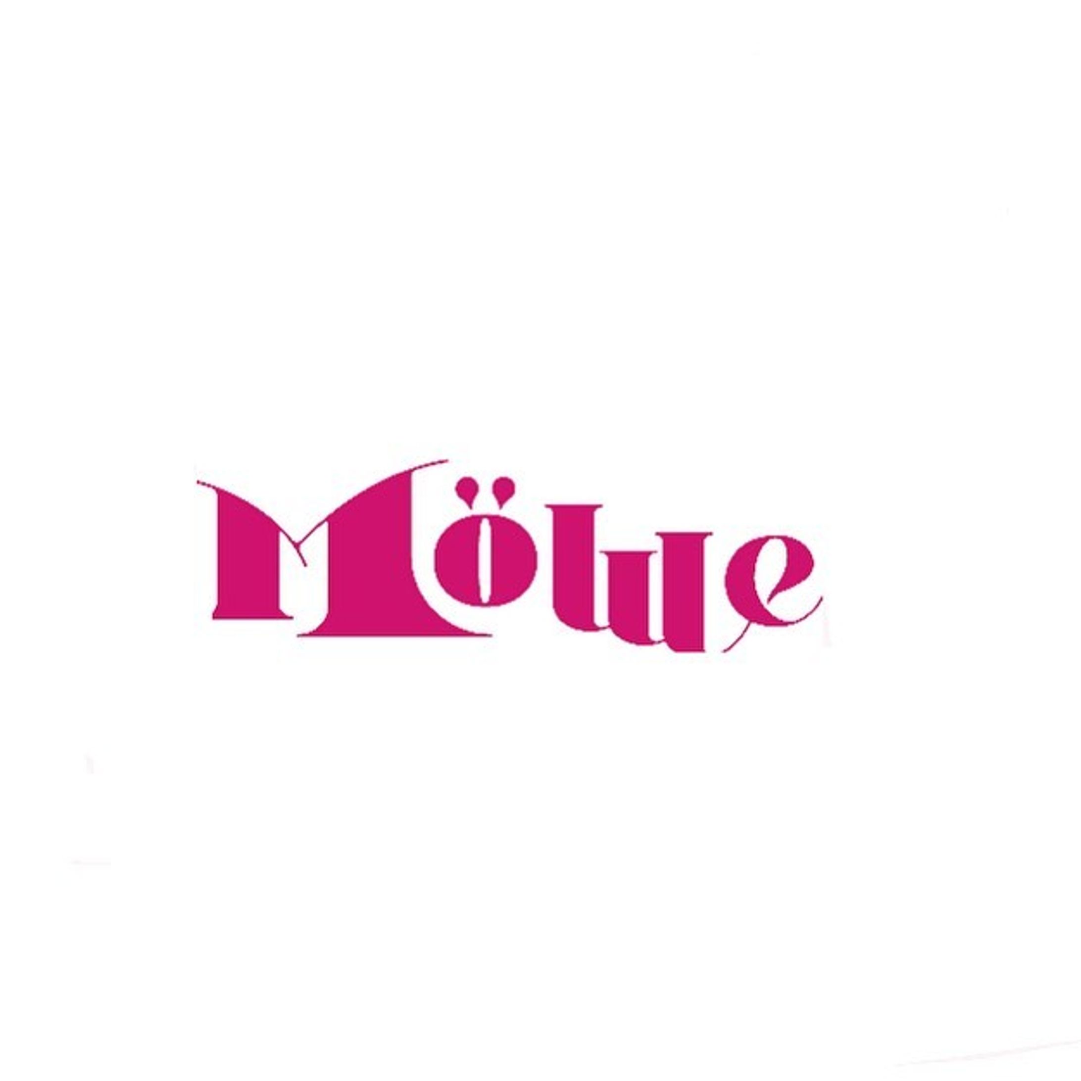 Möwe-1