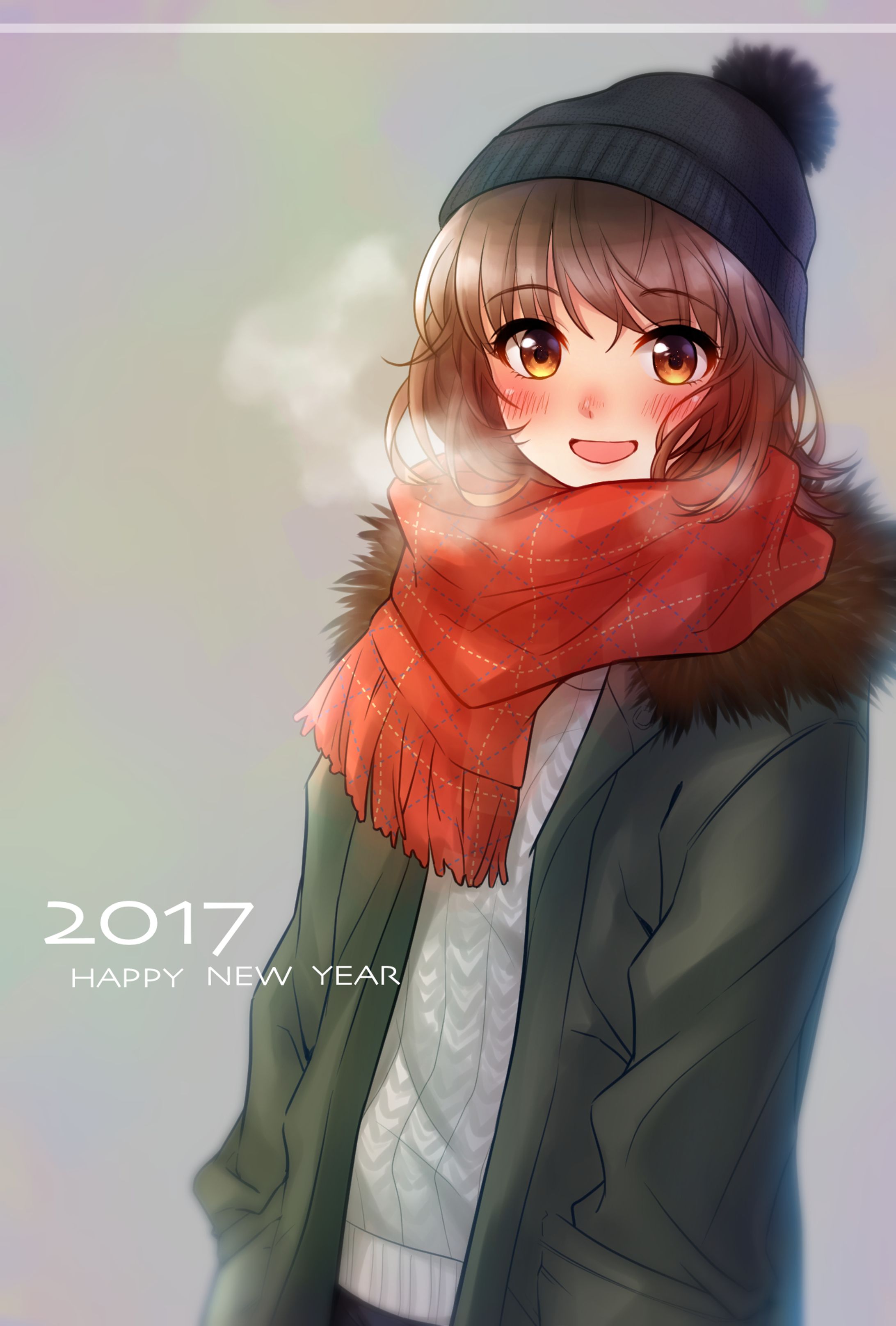 オリジナルイラスト　2017年 年賀状-1