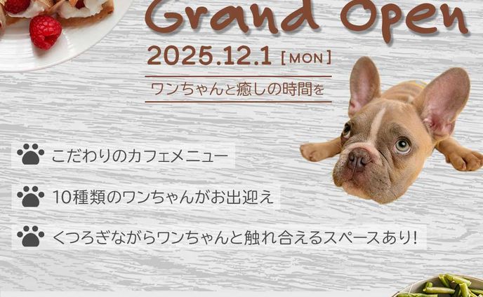 ドッグカフェ　バナー（自主制作）