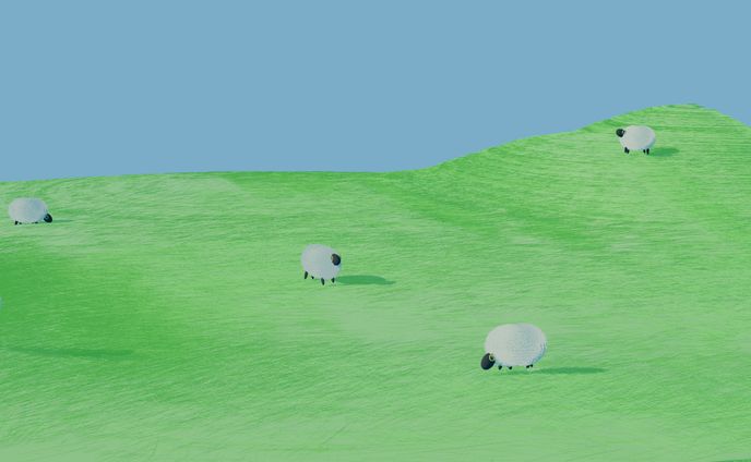 Sheep