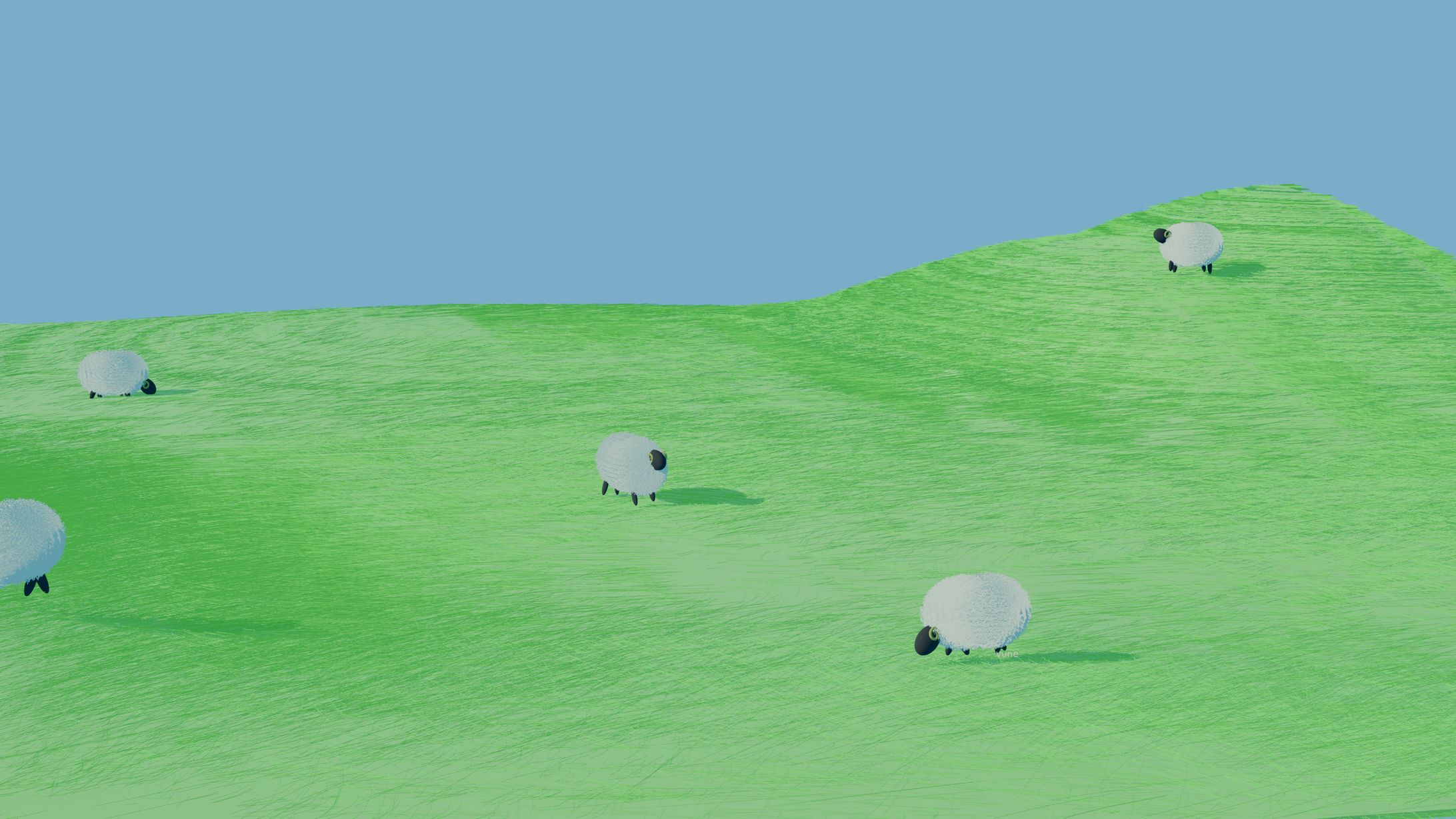 Sheep-1