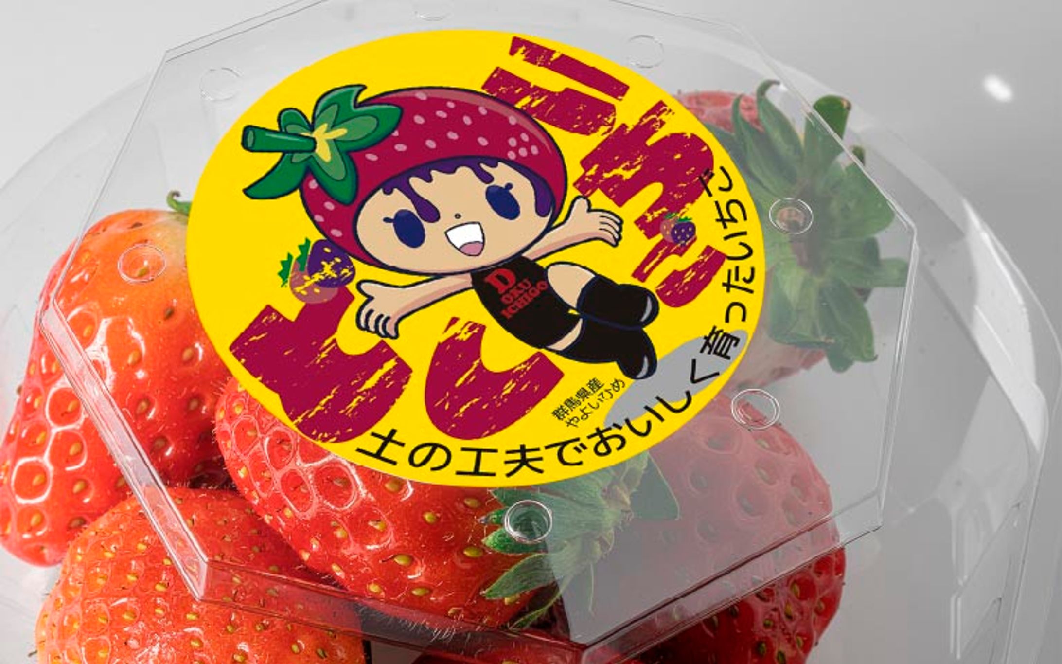 株式会社椿産業「土工いちご」システム紹介キャラクターデザイン（実案件）-1