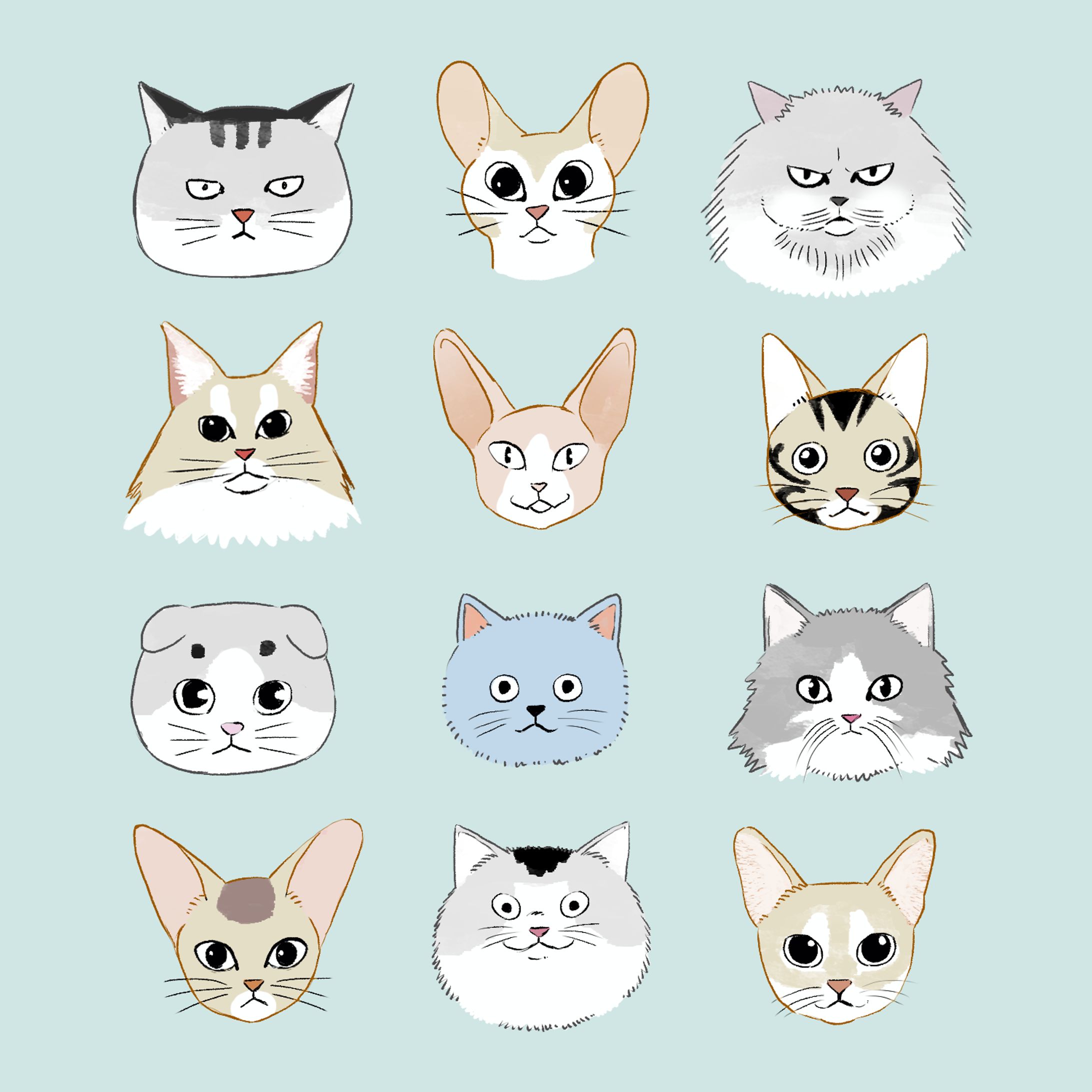 ねこ-1