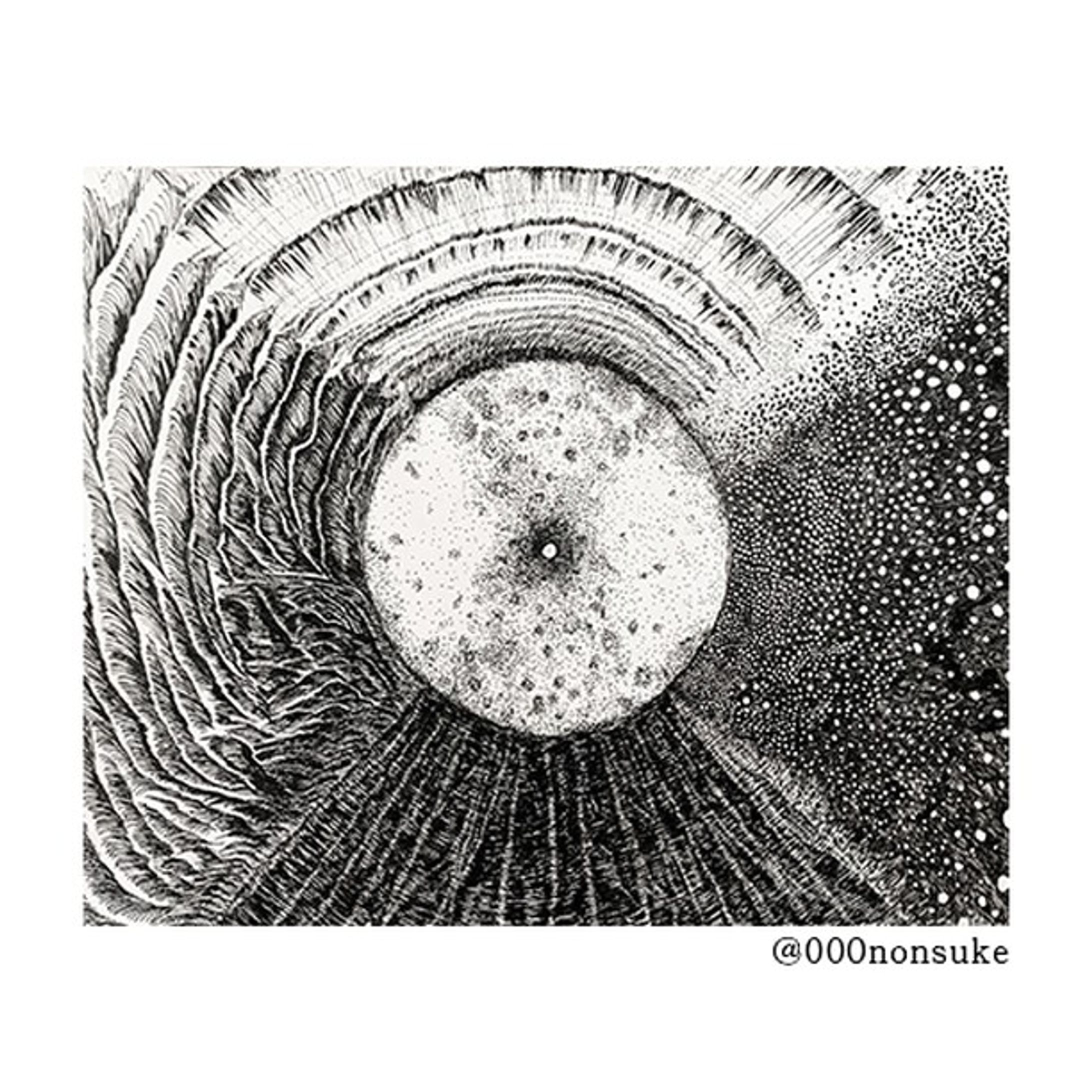 以前依頼で描かせていただいた作品です
Title：明けの明星宵の明星
サイズ：F0
使用素材：ボールペン

#art #pendrawing #inkdrawing-1