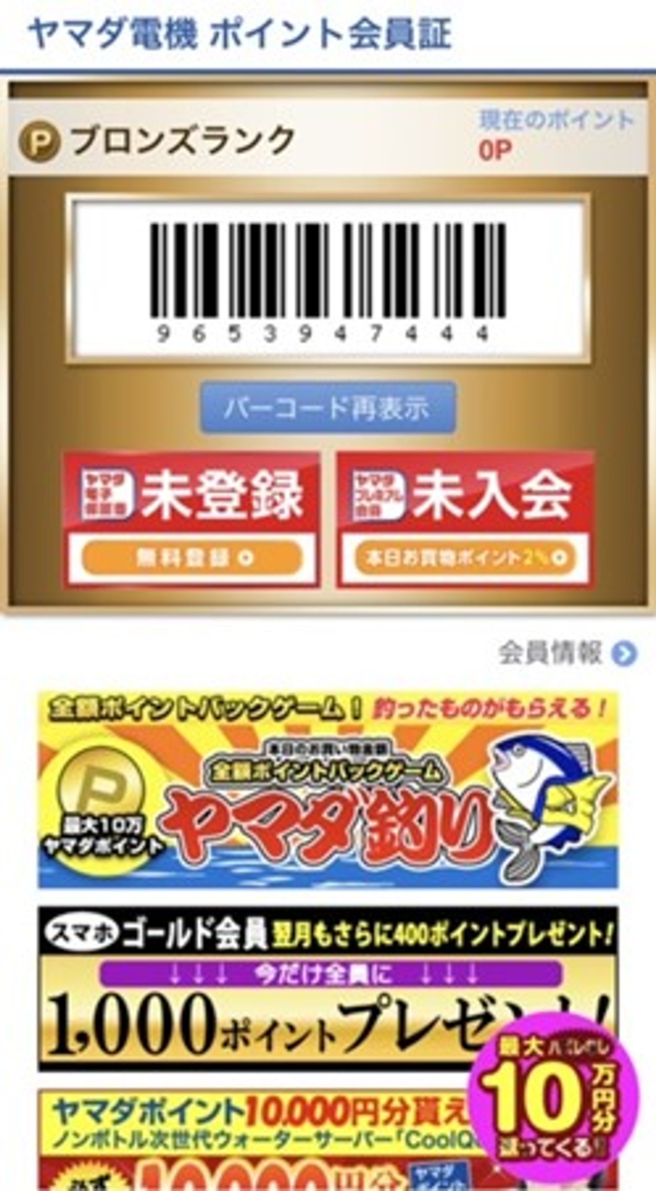 株式会社ヤマダ電機-1