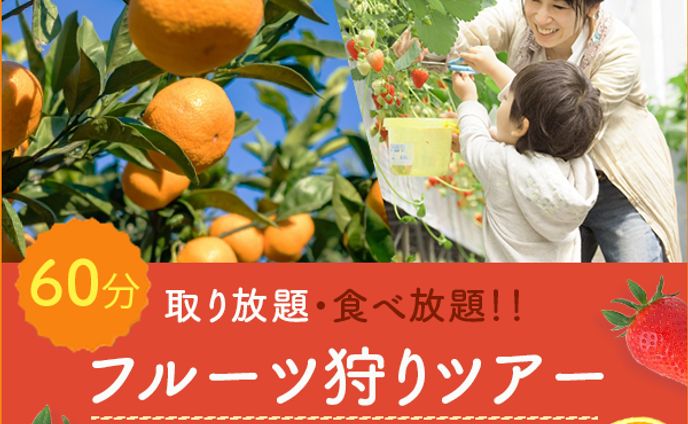 バナー、フルーツ