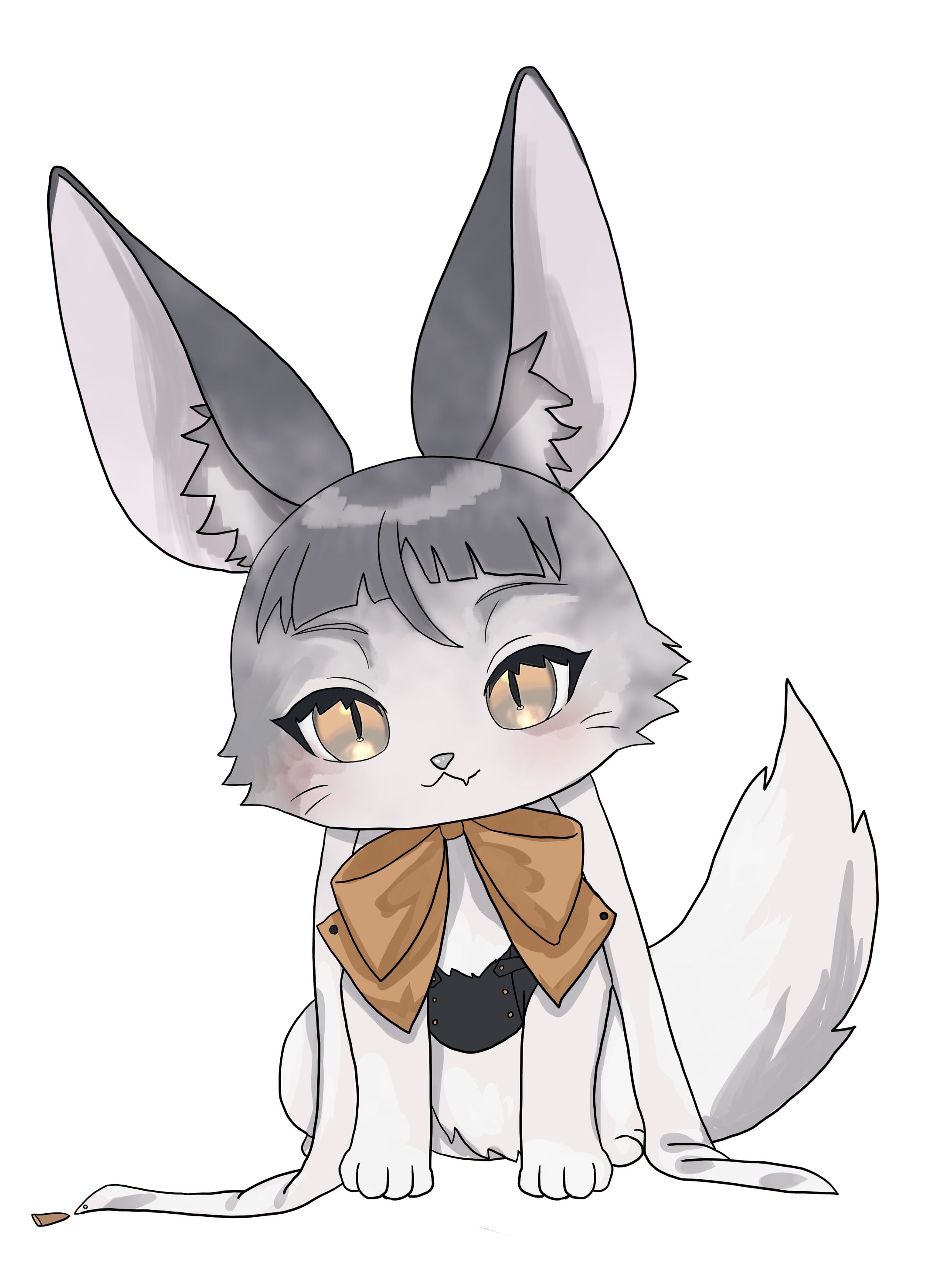 動物-1