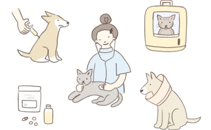 vtuber、loratadine for veterinary use