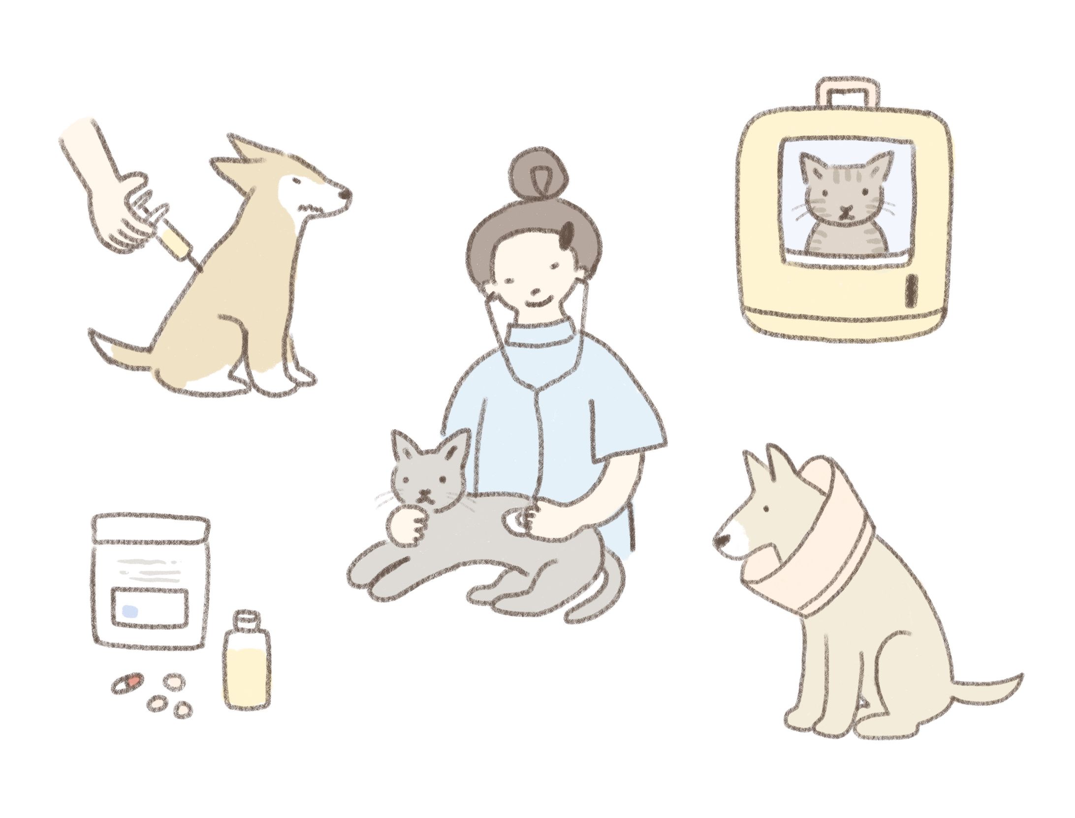 Veterinary hospital-1