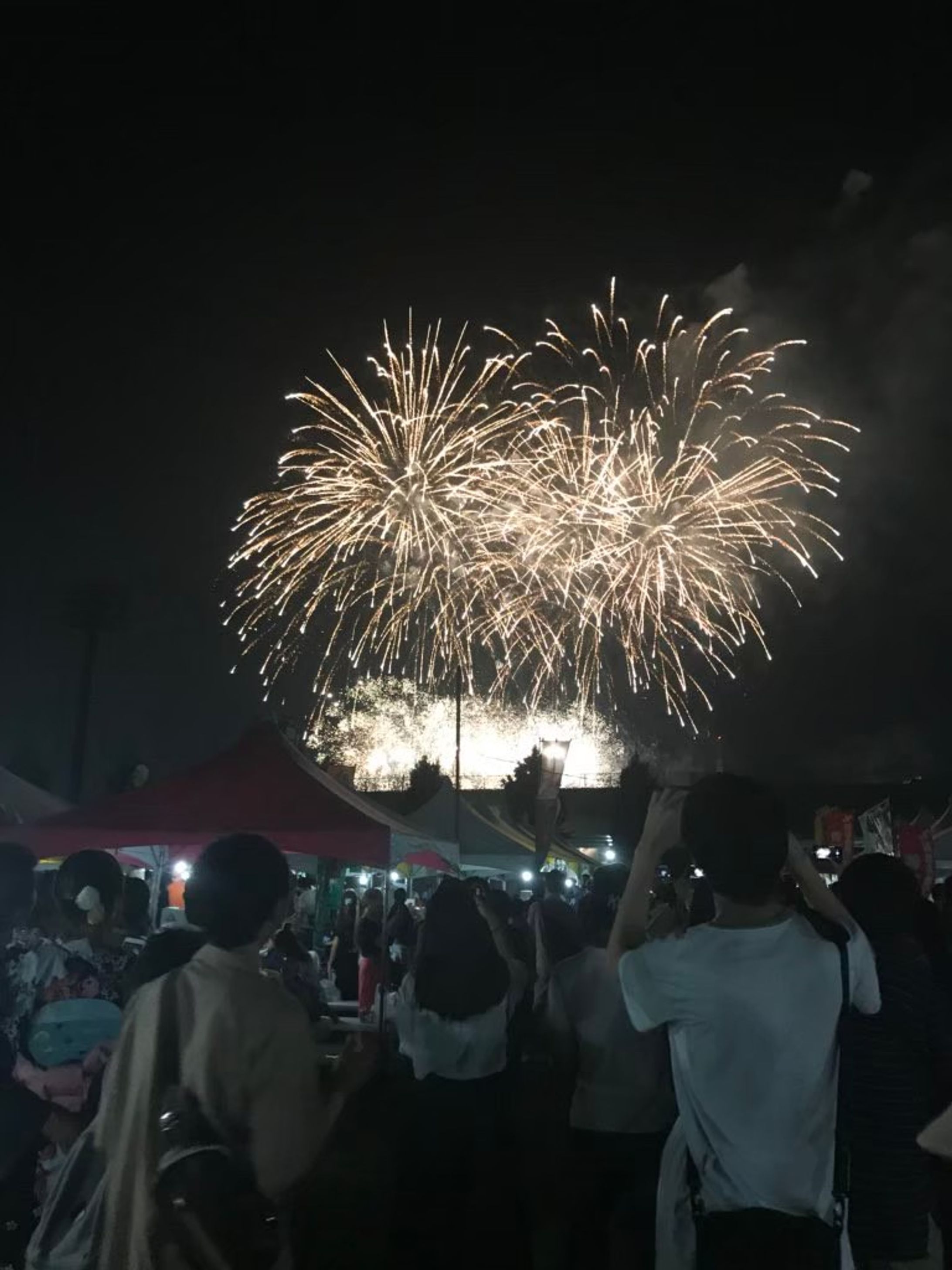 海老名市民祭り2018【写真コンテストオウルテック賞受賞】-1