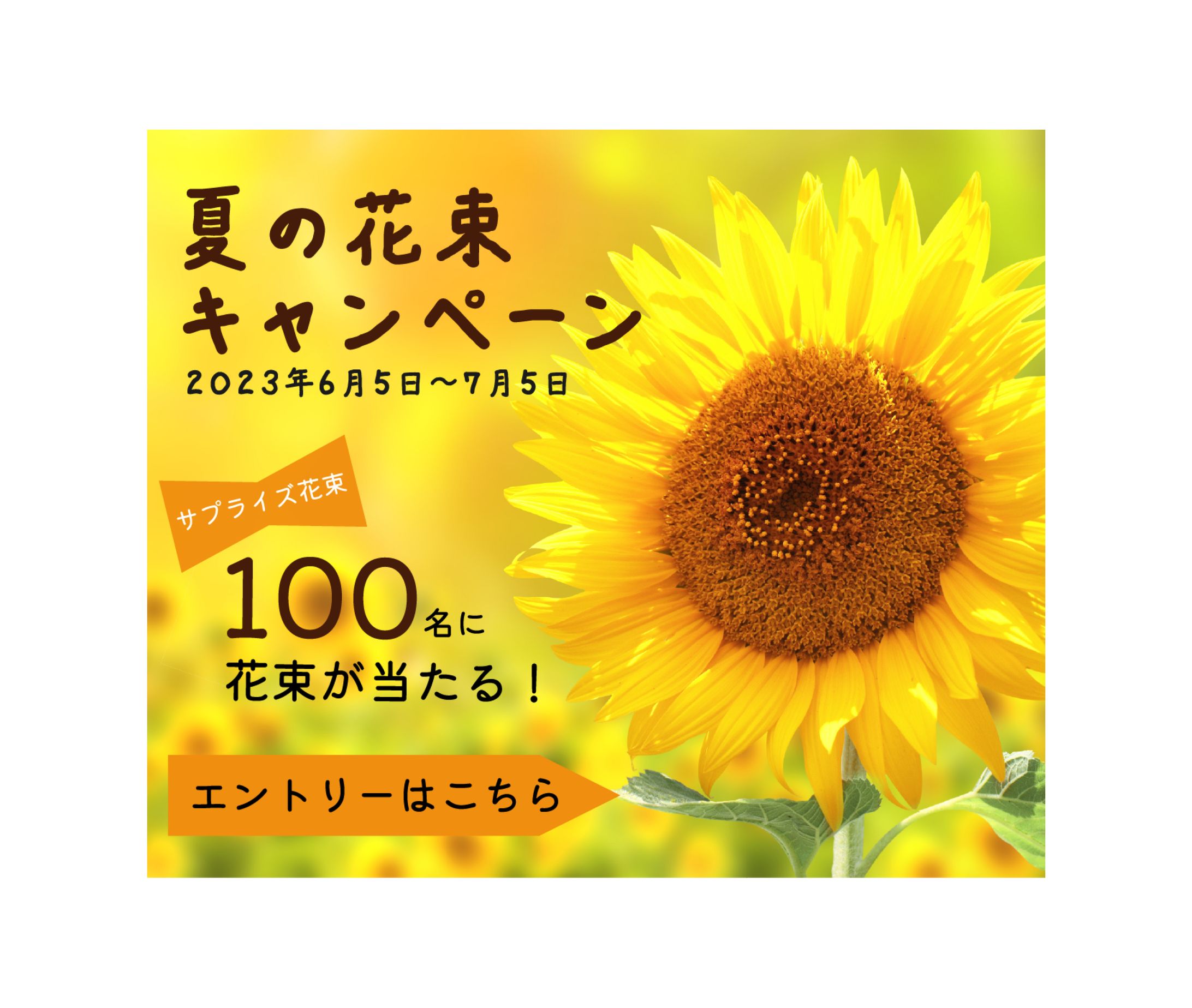 キャンペーン　広告バナー-1