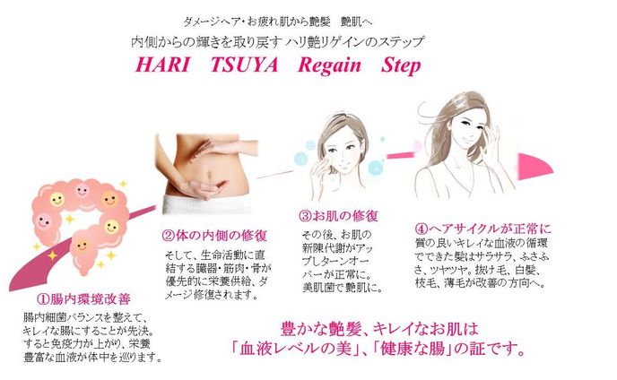 艶髪艶肌修復ステップと腸内美容メソッド