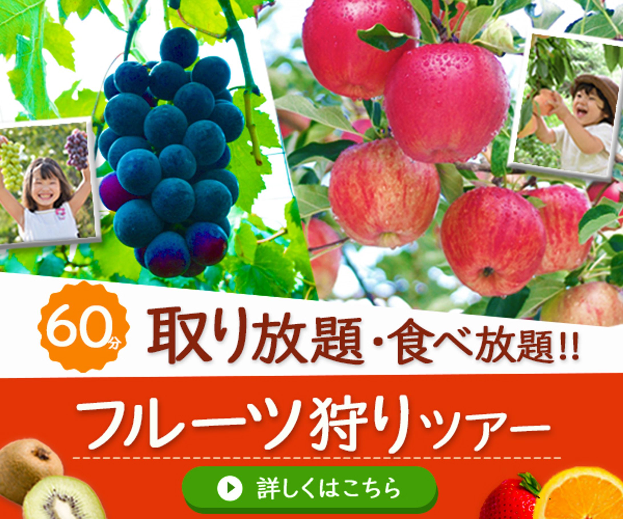 バナー：フルーツ狩り-1