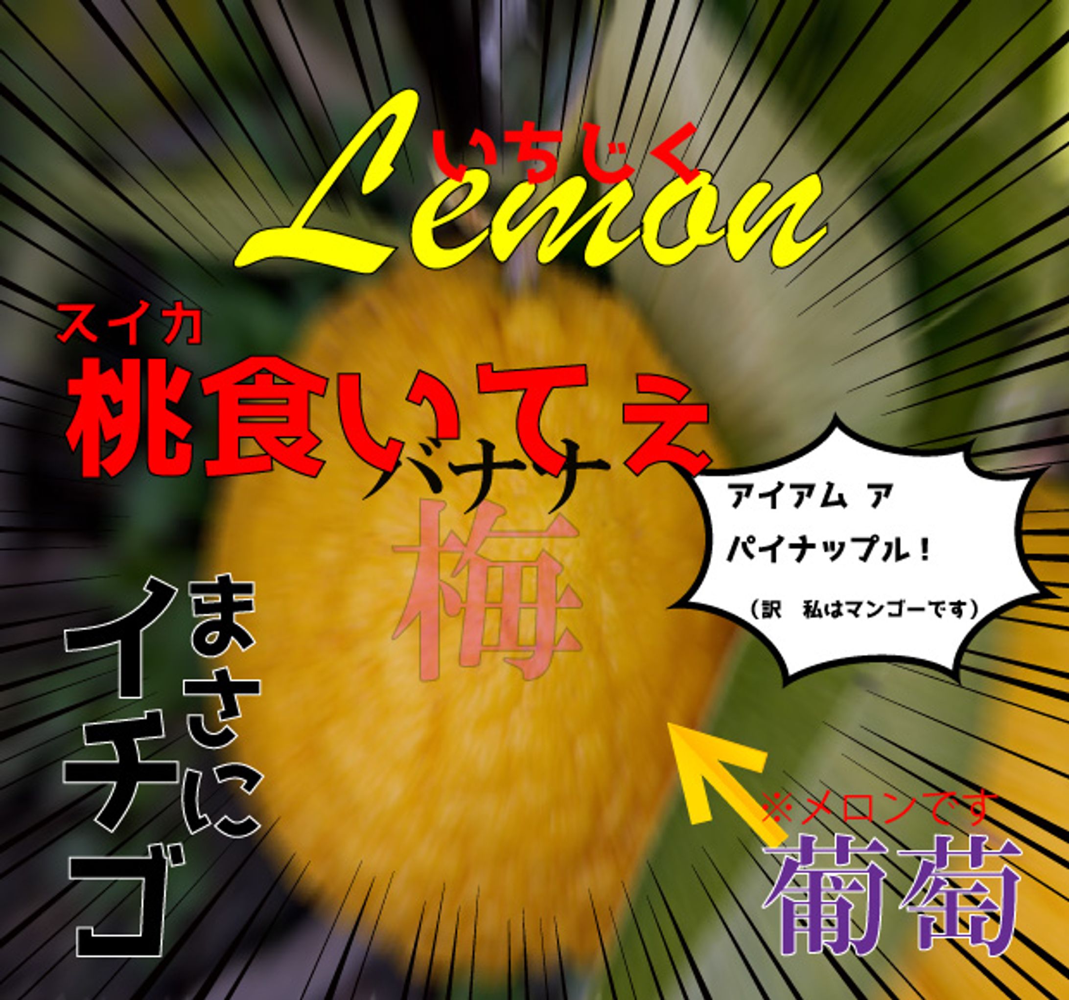 情報量の多い画像-1