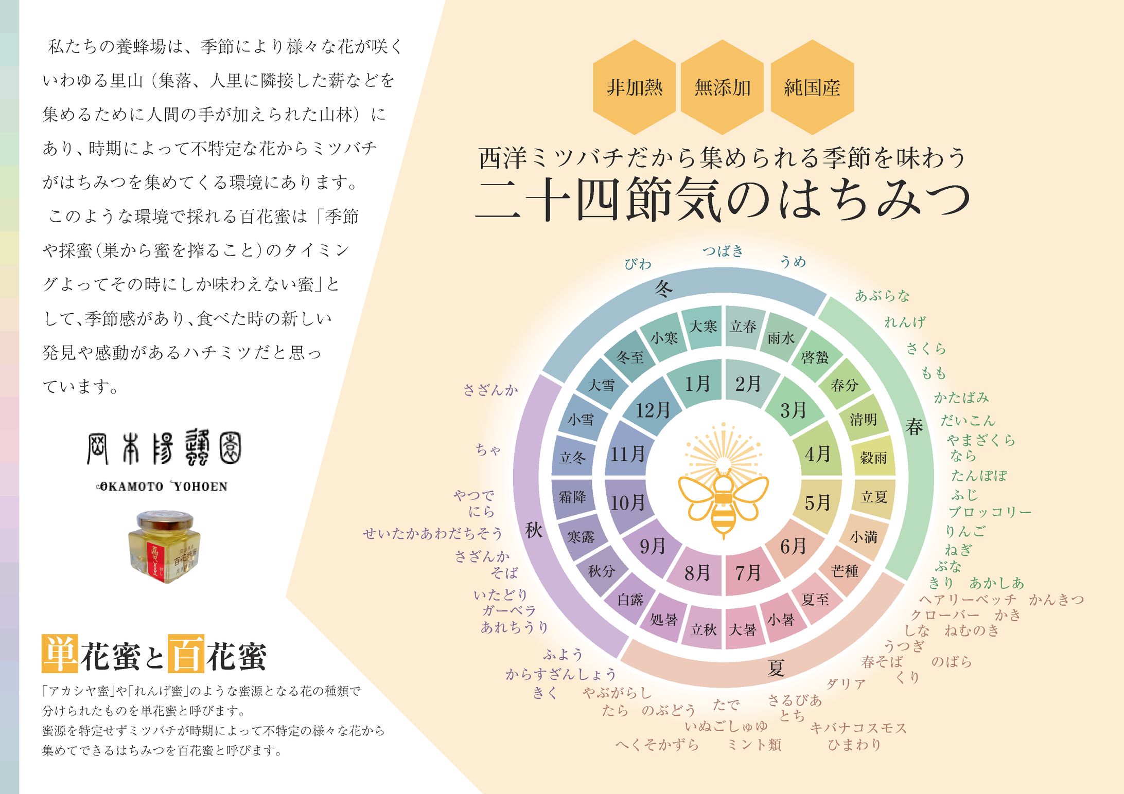 ポップ-1