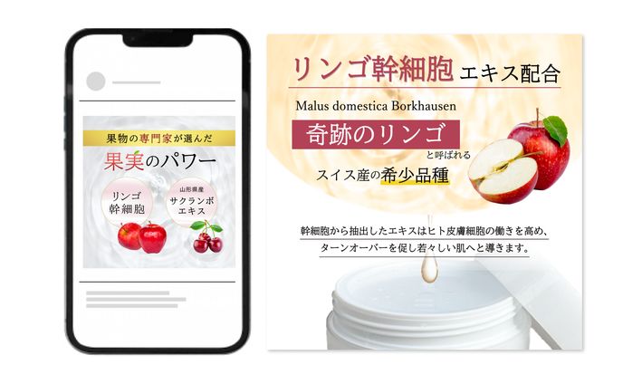 tohokuecglobal様 / 商品バナー