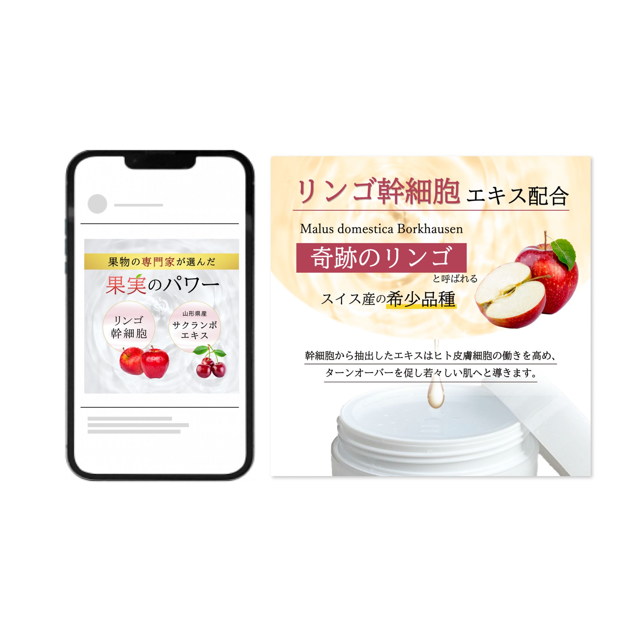 tohokuecglobal様 / 商品バナー-1