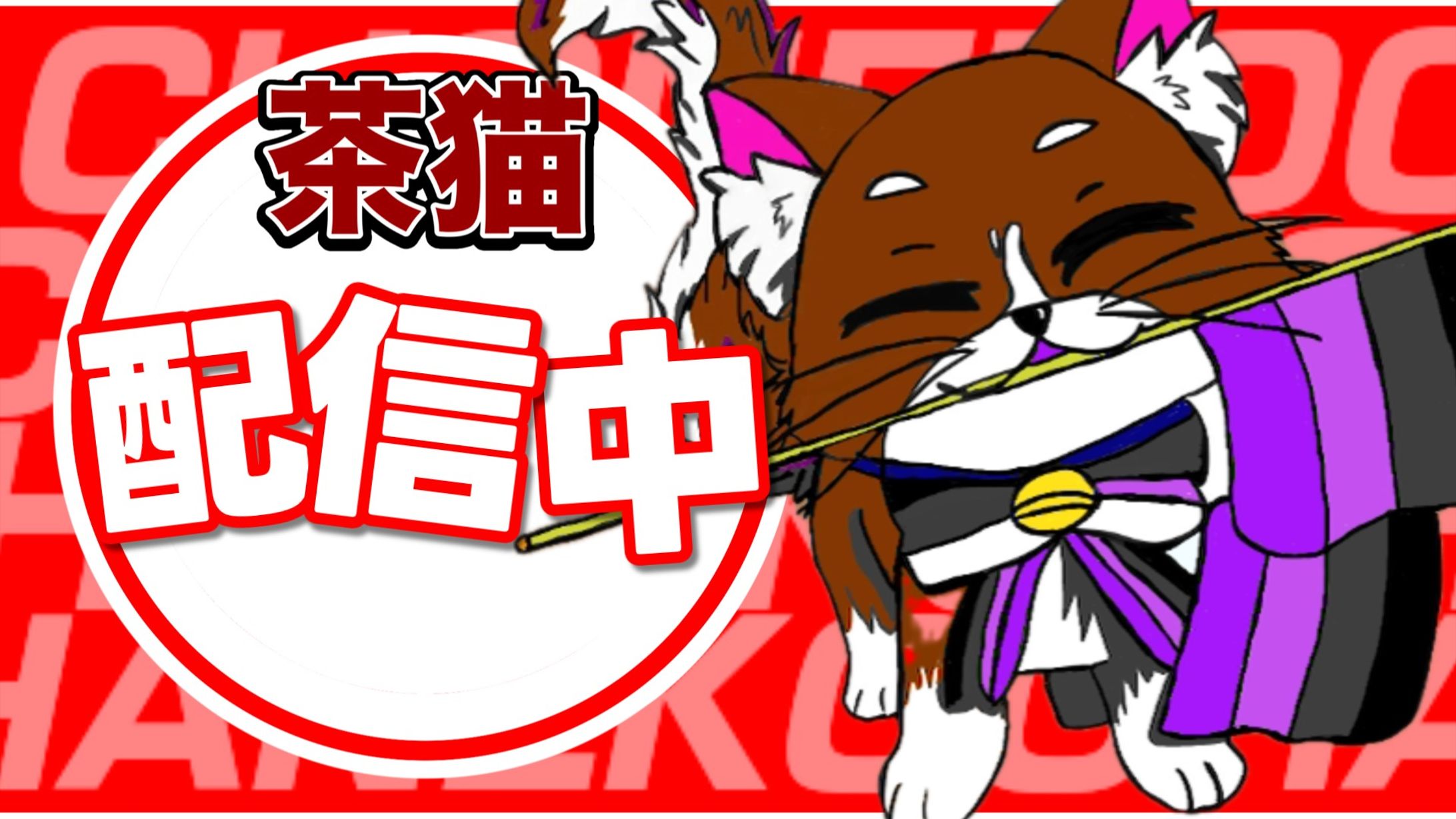 茶猫さん-1