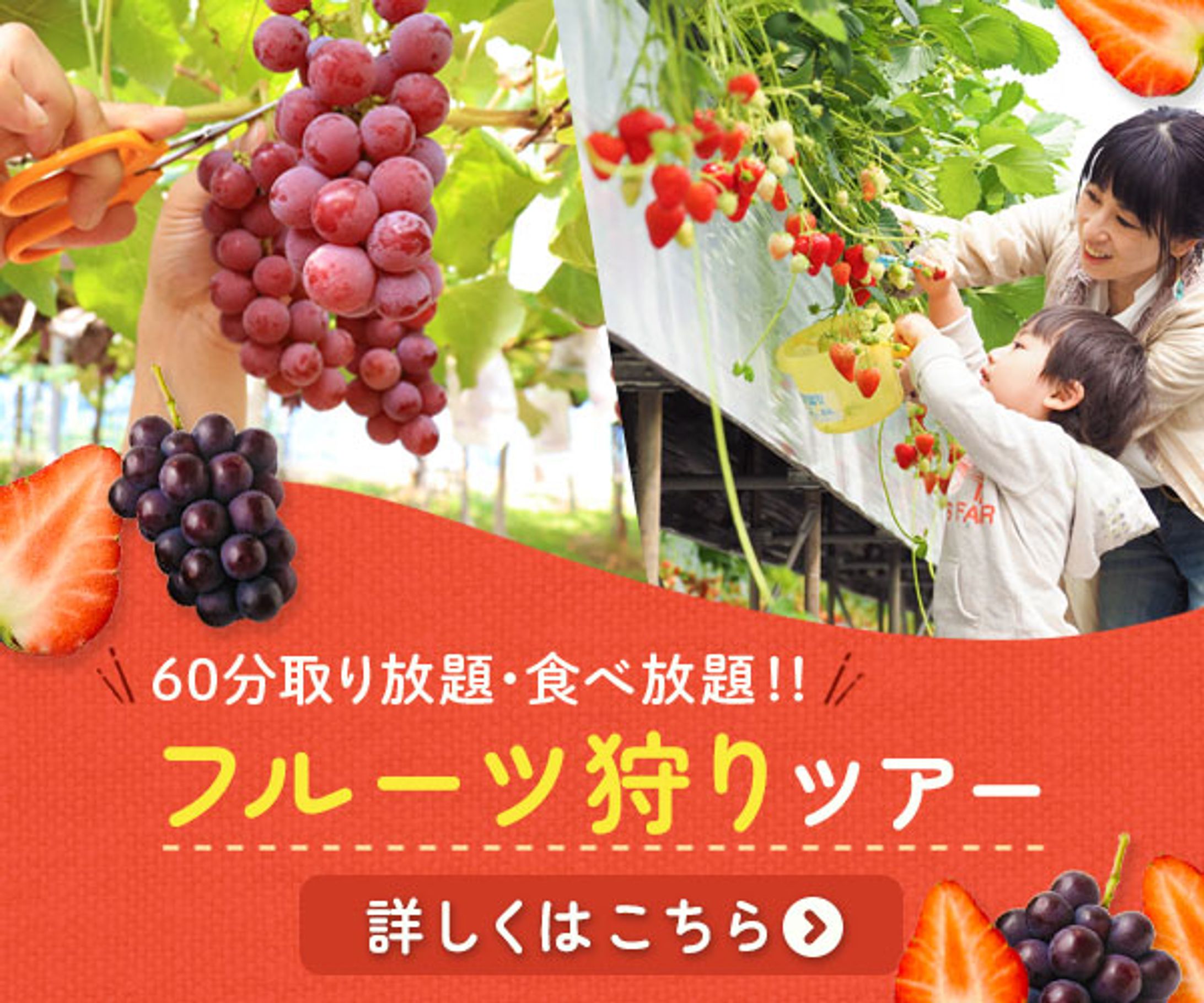 バナー：フルーツ狩り-1