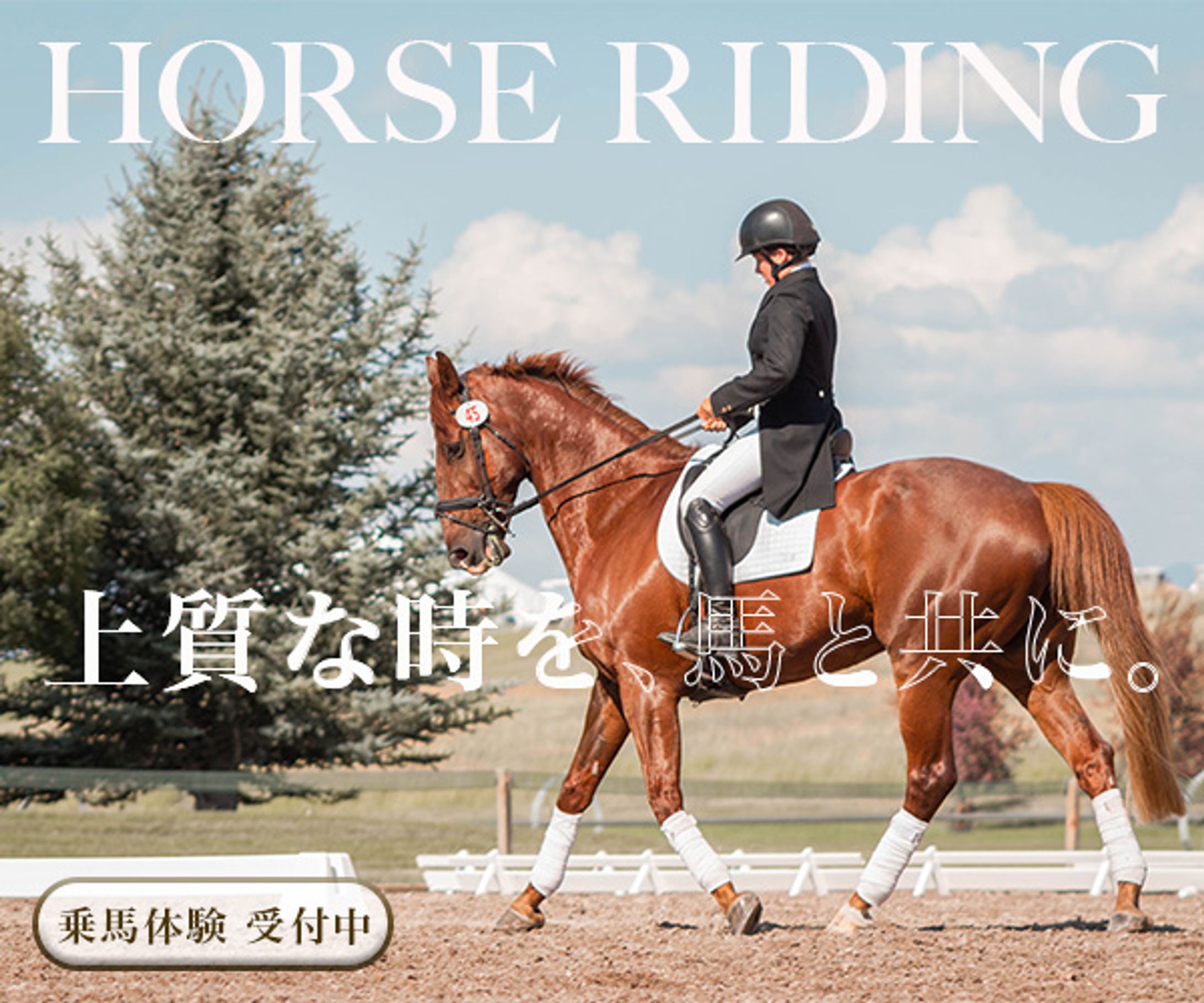 乗馬体験バナー(架空)-1