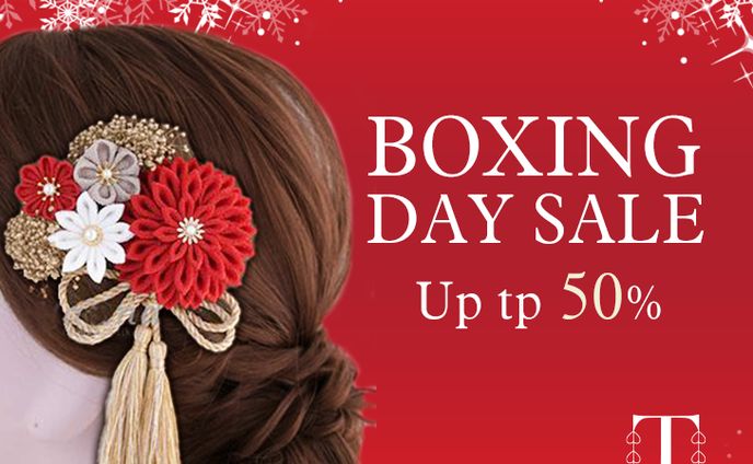 Boxing day banner