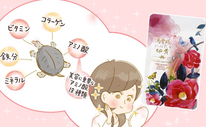 健康促進プリー商品同封チラシ