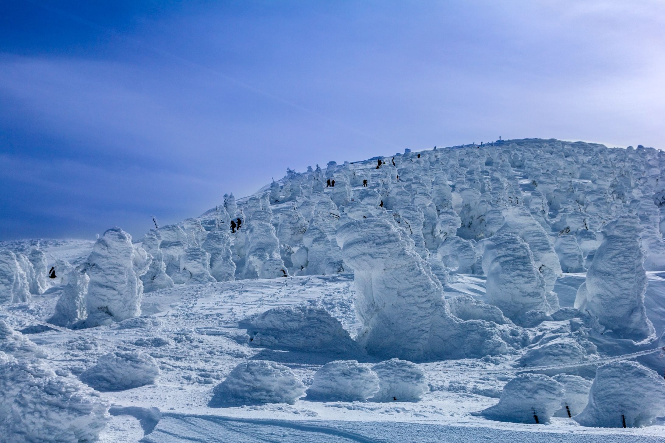 landscape-1