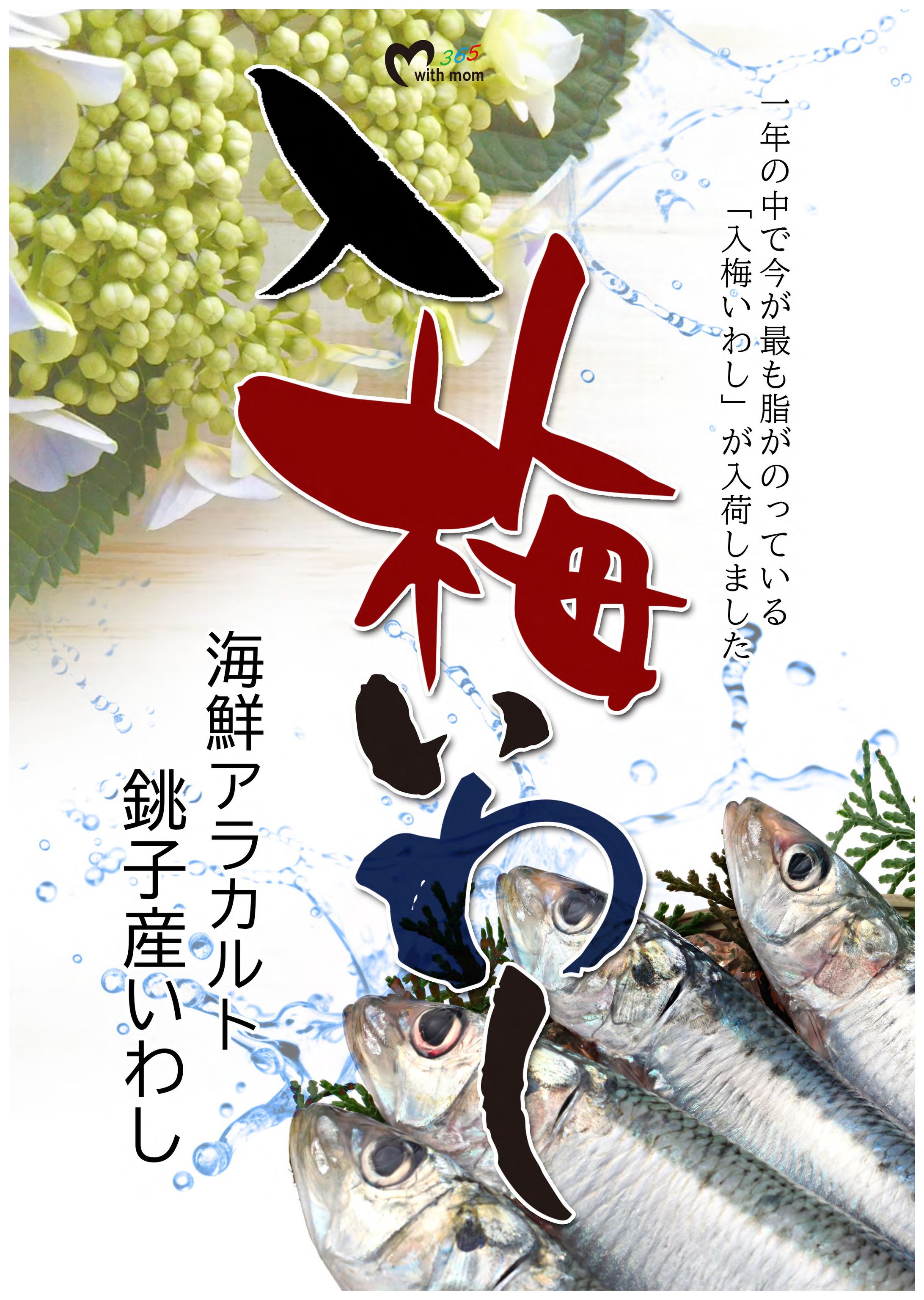 2023　入梅いわし-1
