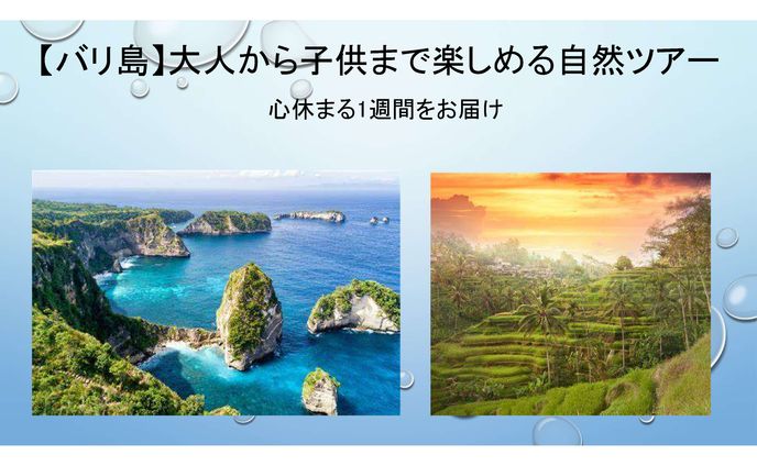 バリ島ツアー計画書