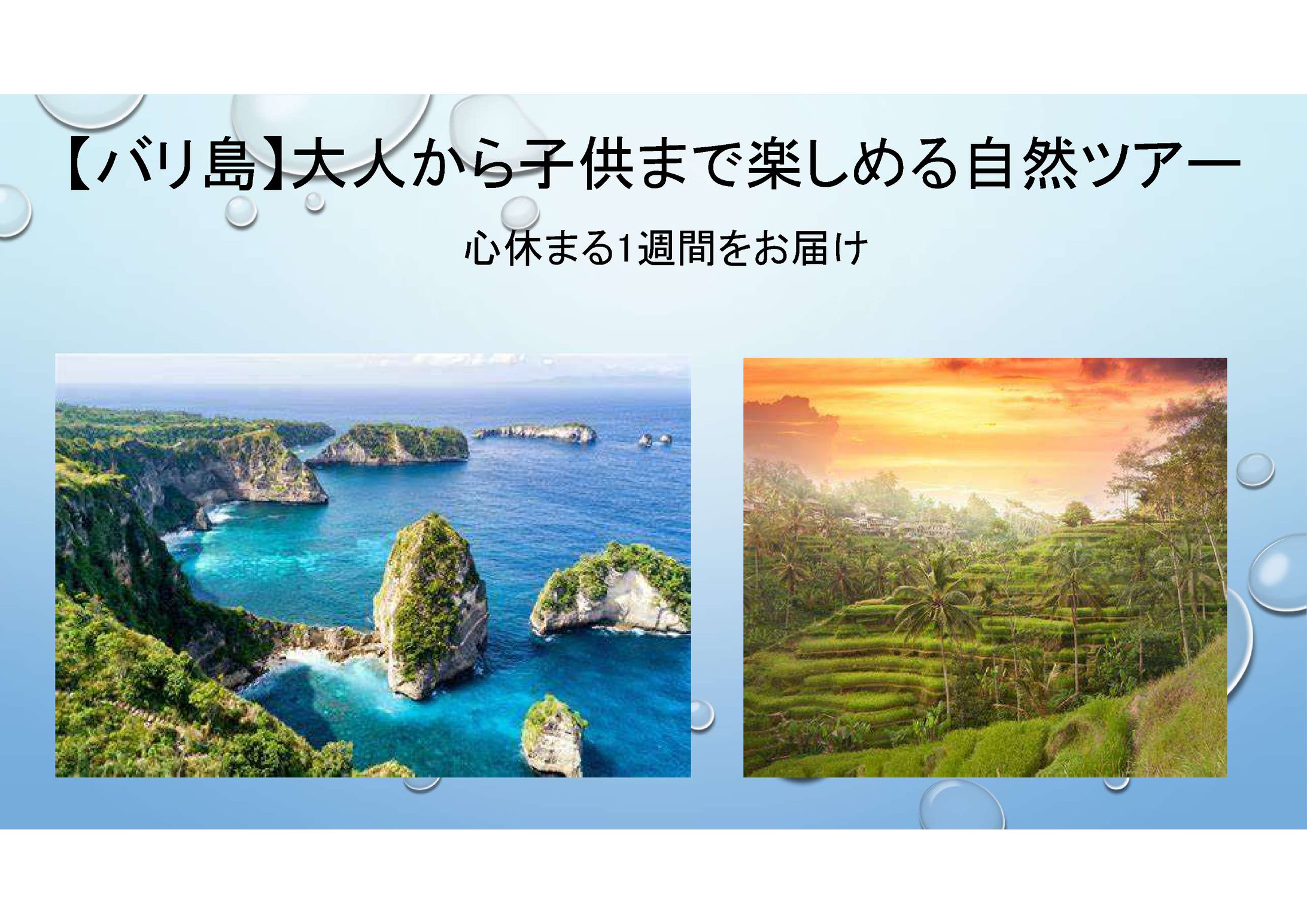 バリ島ツアー計画書-1