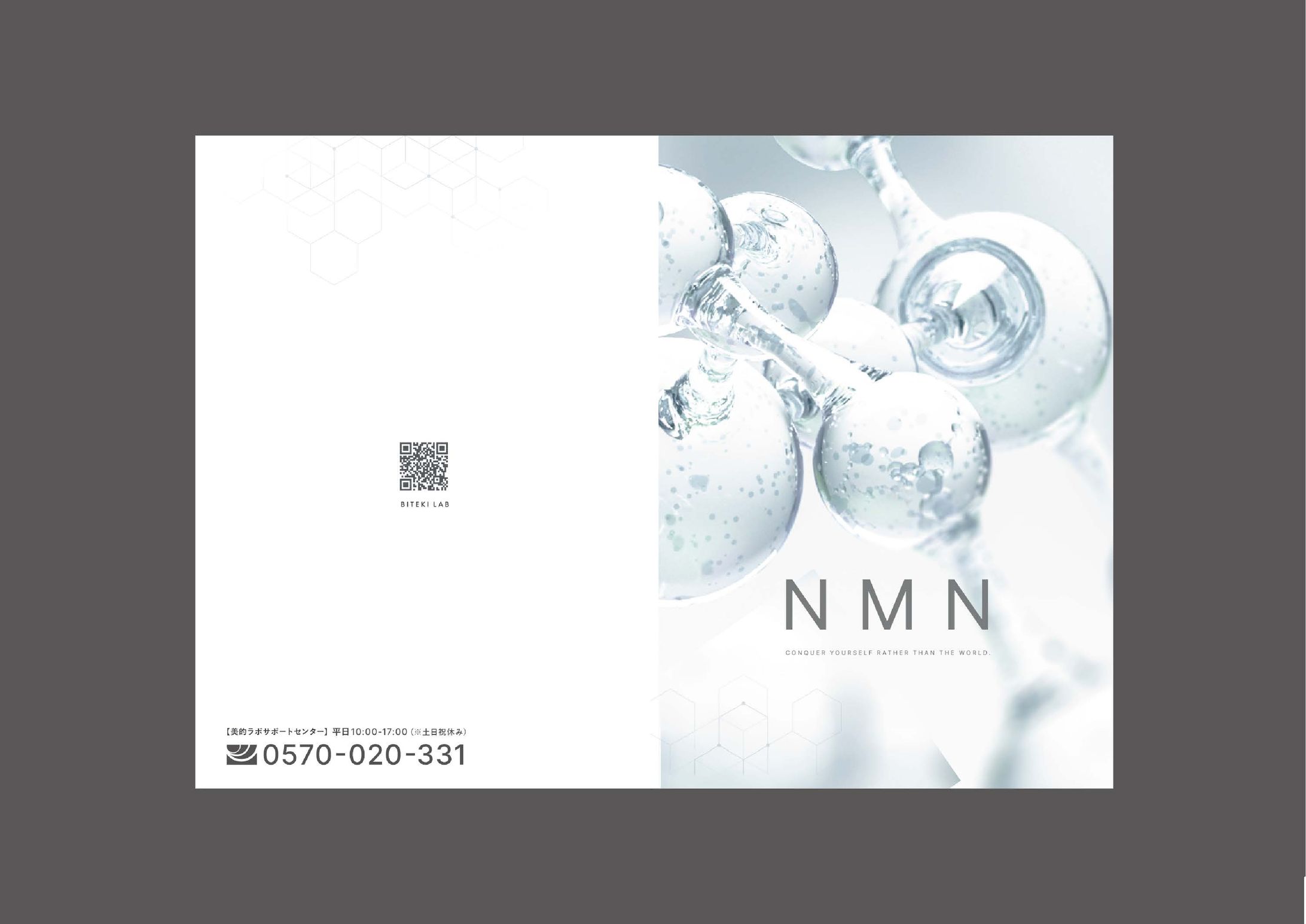NMNサプリ ブランドブック-1