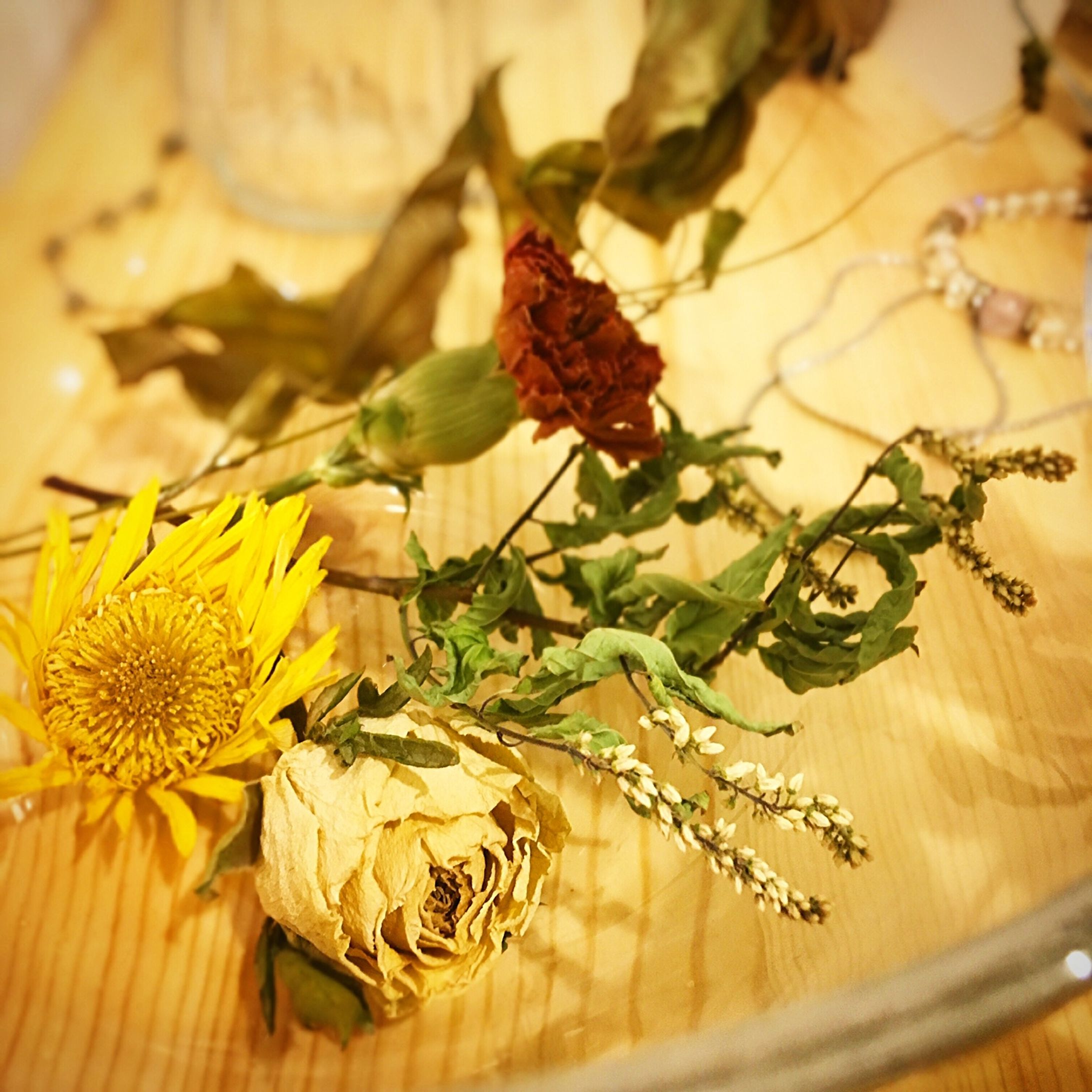 Dried flower.🥀-1
