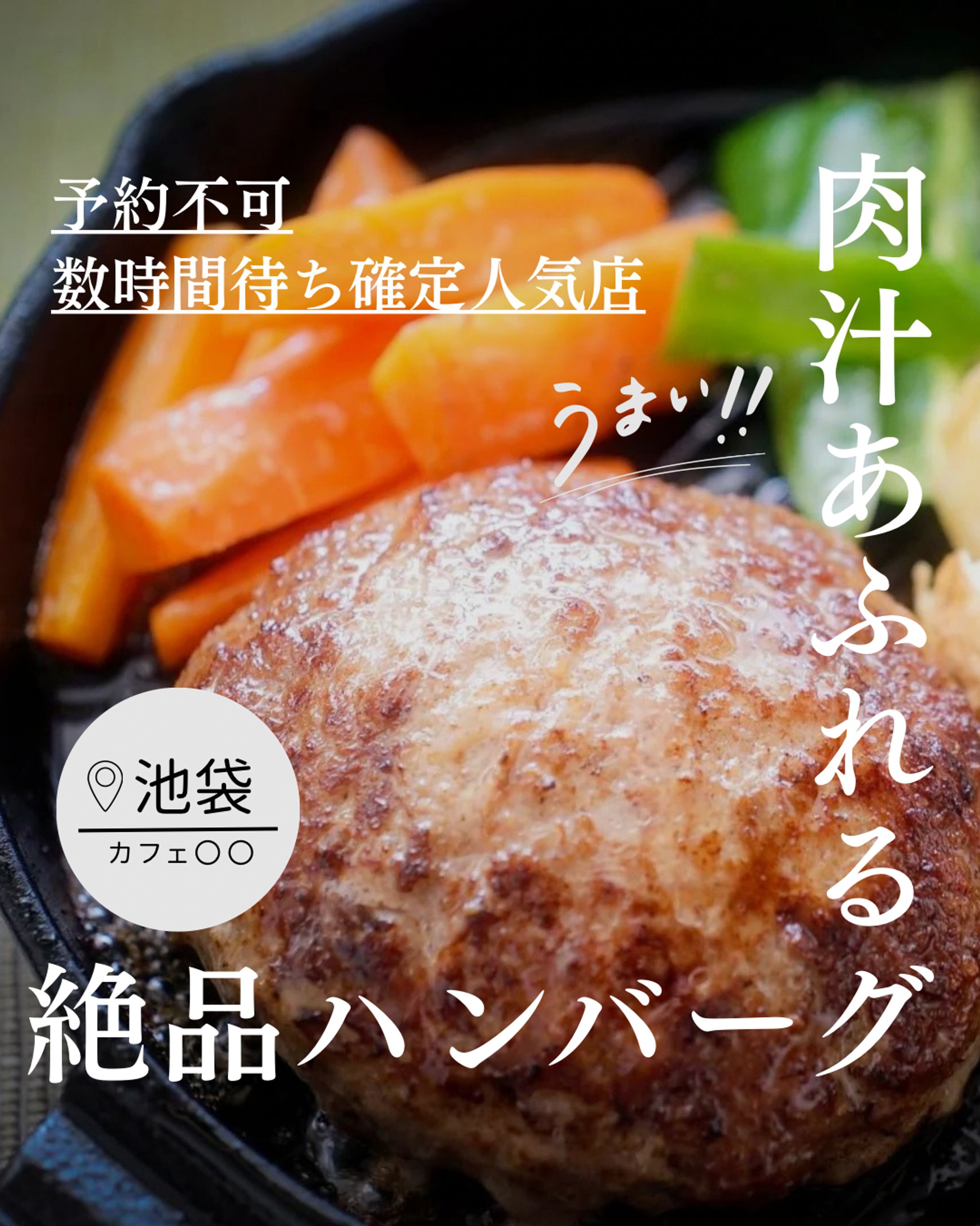 絶品ハンバーグ-1