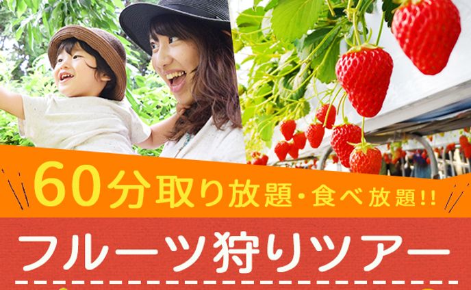 バナー＿フルーツ狩りツアー
