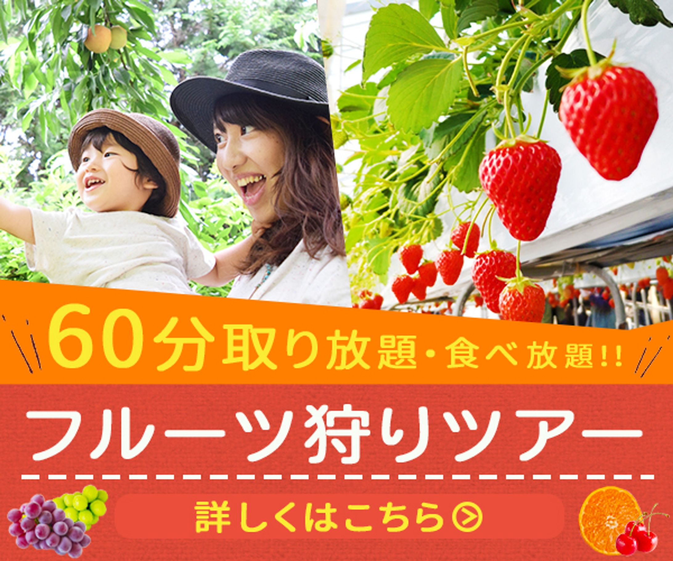 バナー＿フルーツ狩りツアー-1