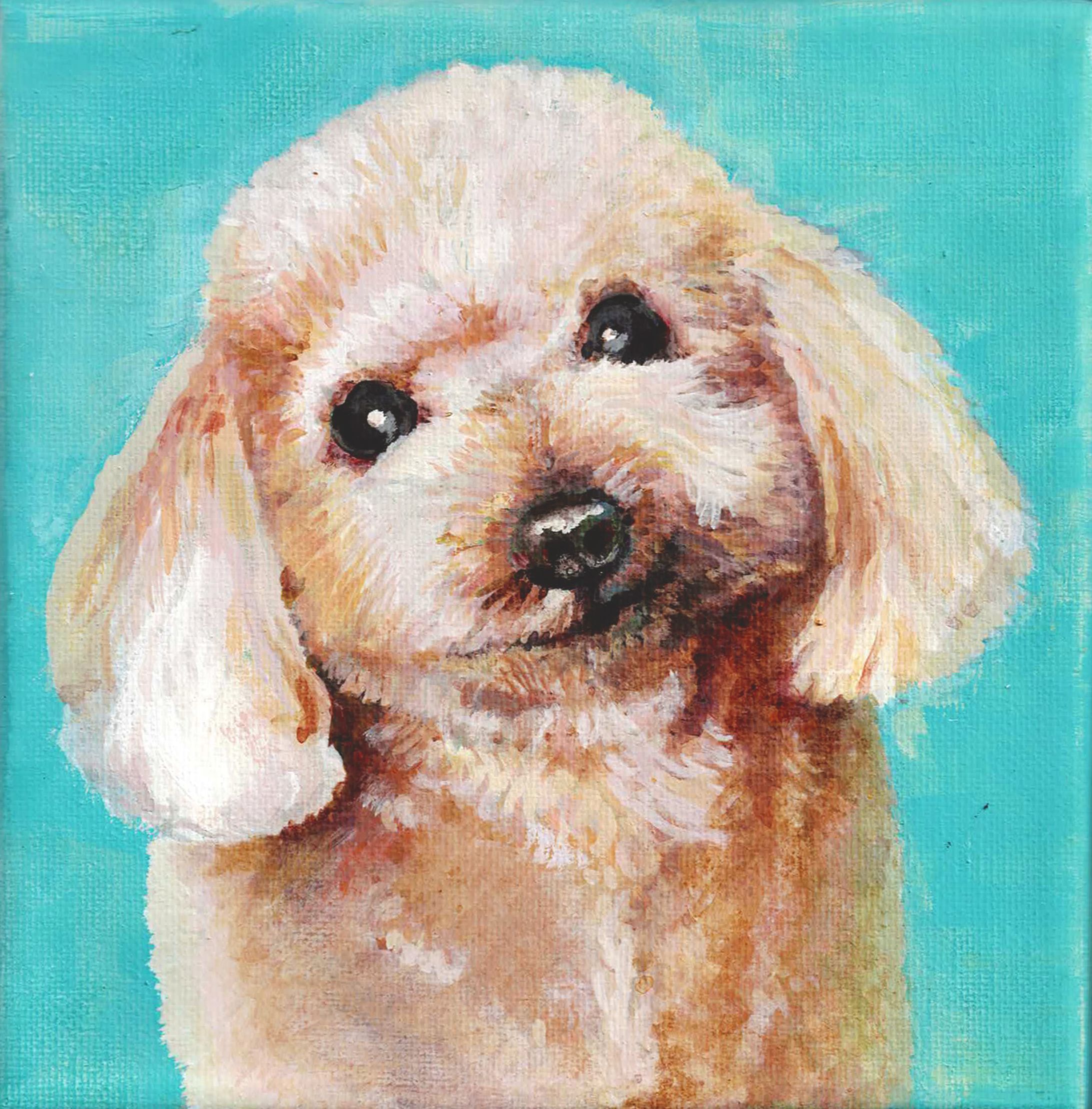dog photo-1