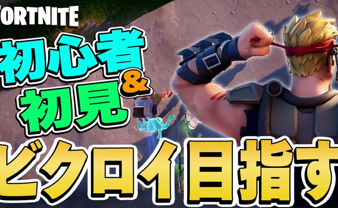ゲーム系、ポートフォリオ