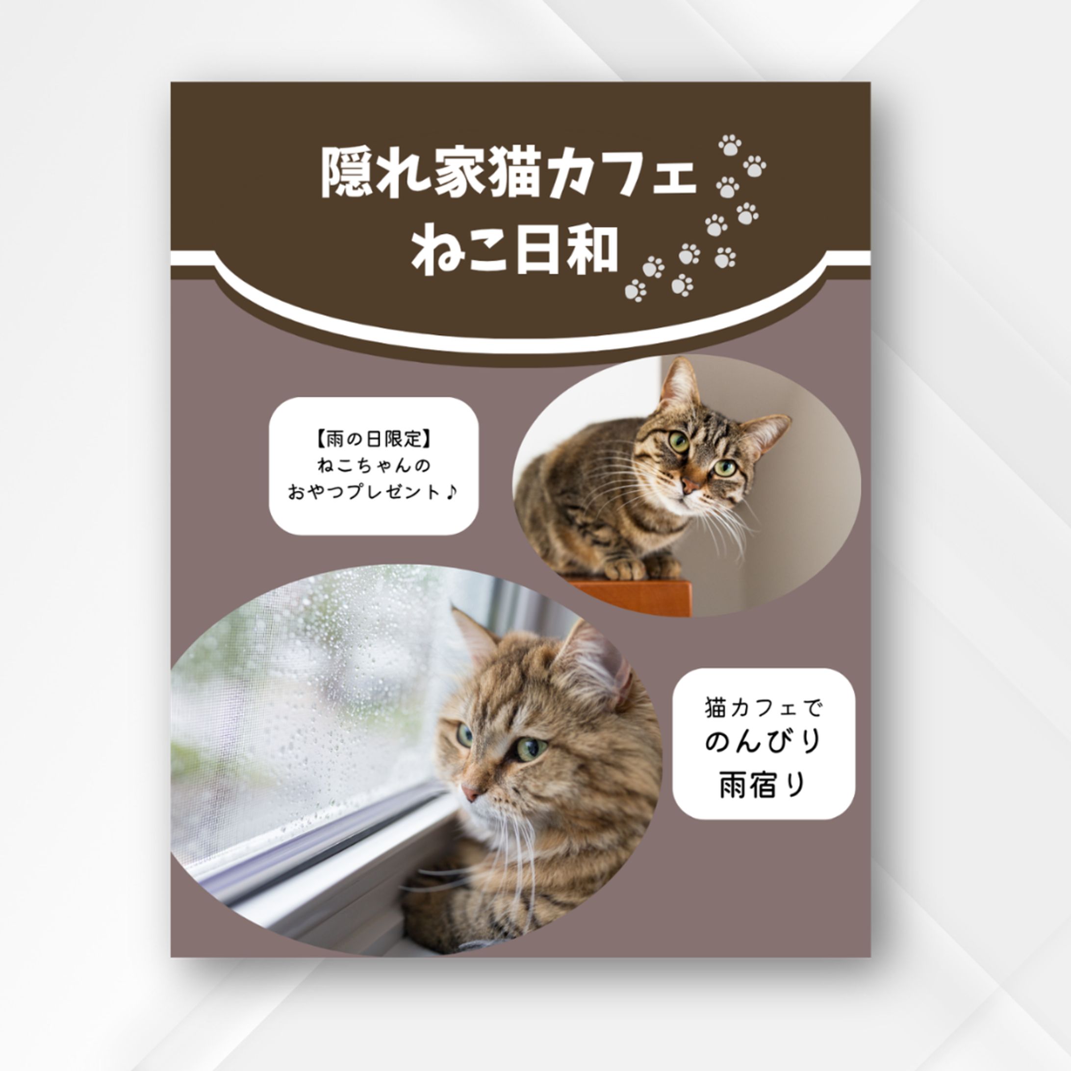 「猫カフェでのんびり雨宿り」店舗集客用SNS告知ビジュアルデザイン-1