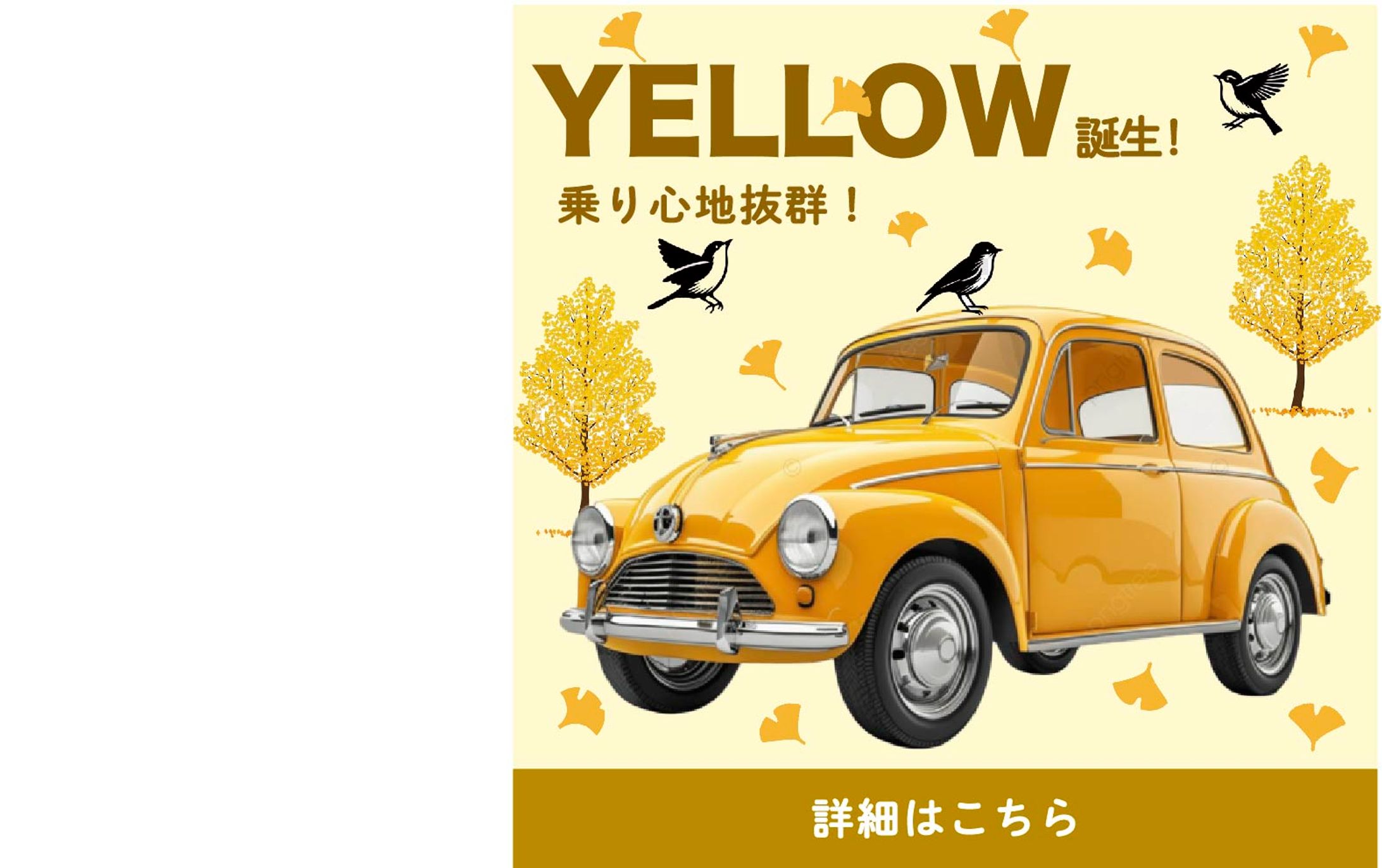 車　紹介　バナー -1