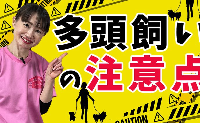 動画クリエイター、フード