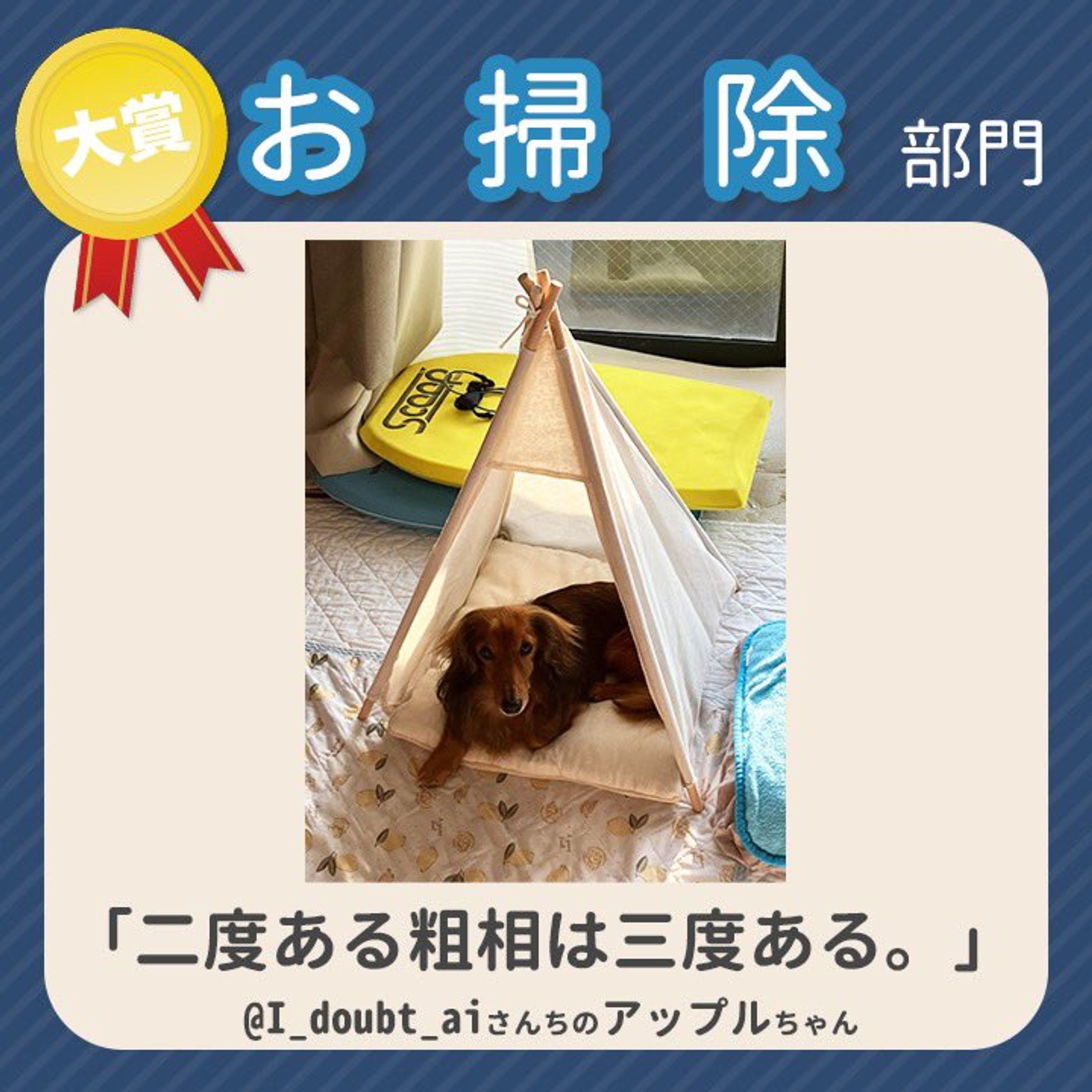 ペットのコジマ　ライオン製品コピー-1
