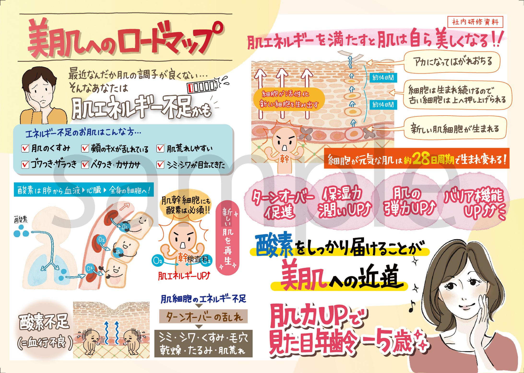 美肌へのロードマップ-1